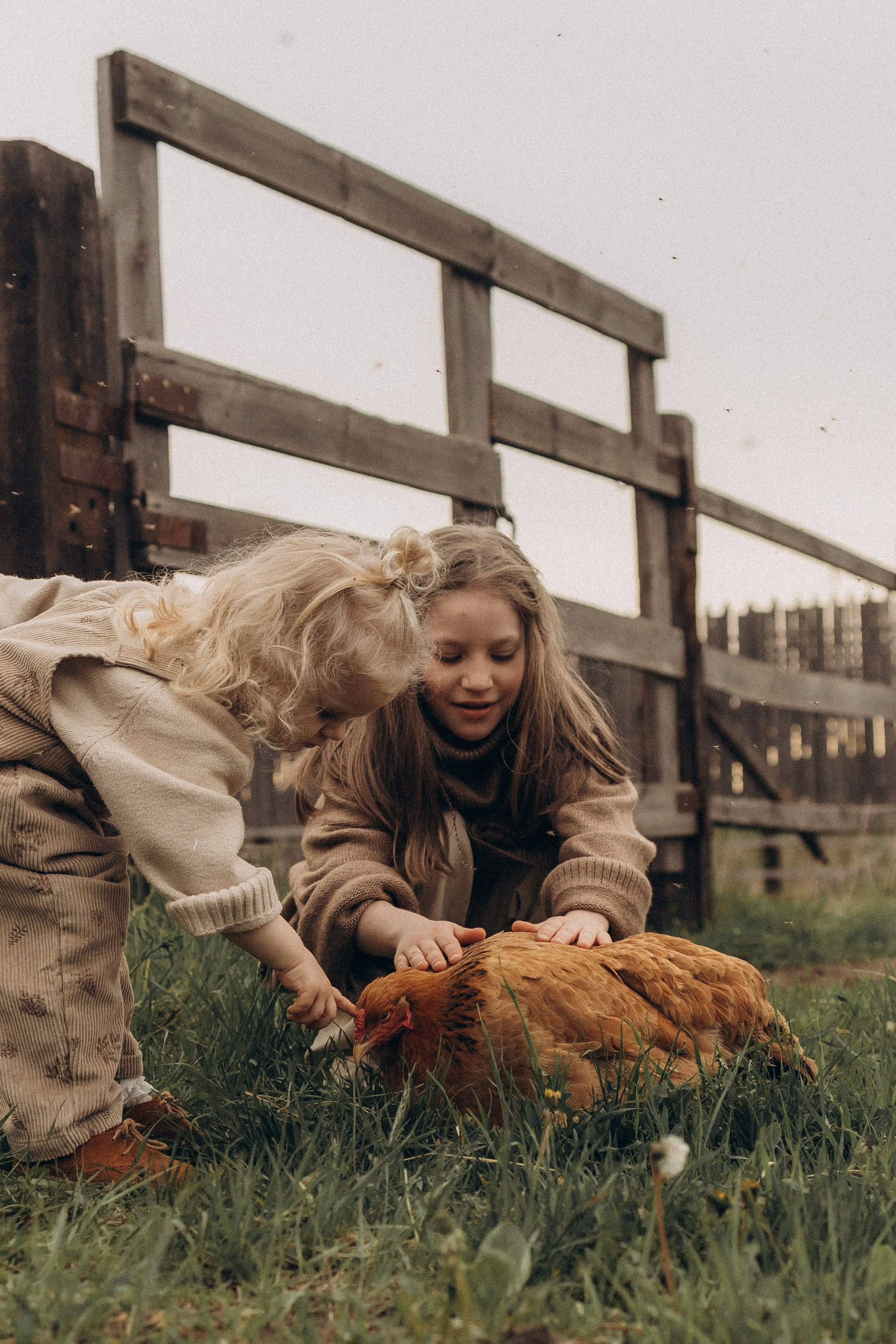 Семейная в поле. Эльвира Галимьянова — семейный фотограф Екатеринбурга