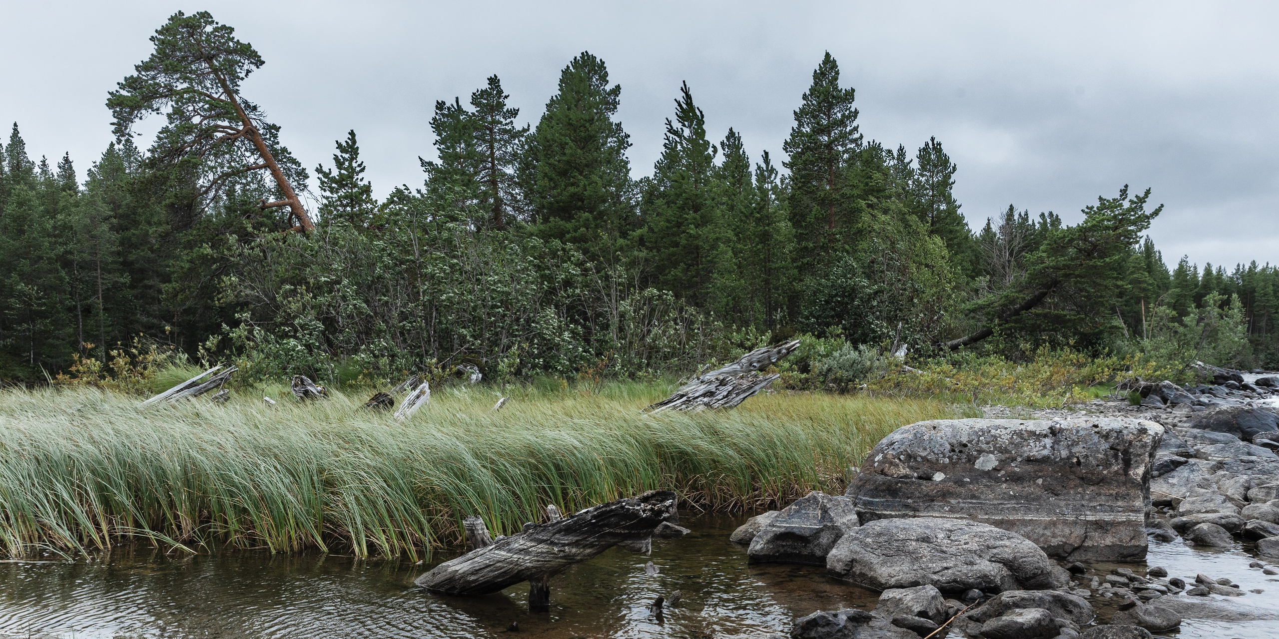 Оз. Колвицкое. Фотографии
