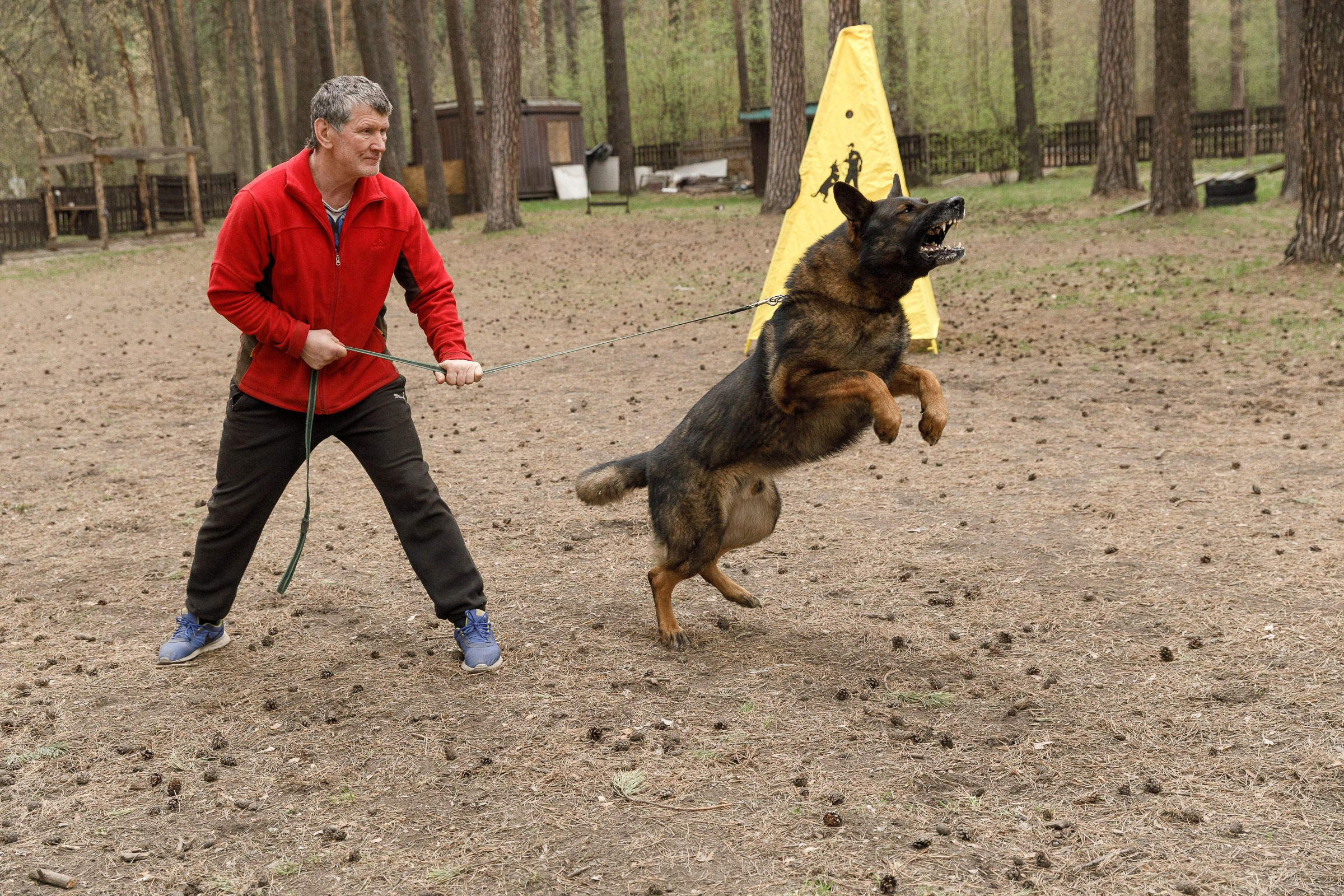 Рабочие собаки. Фотограф в Новосибирске