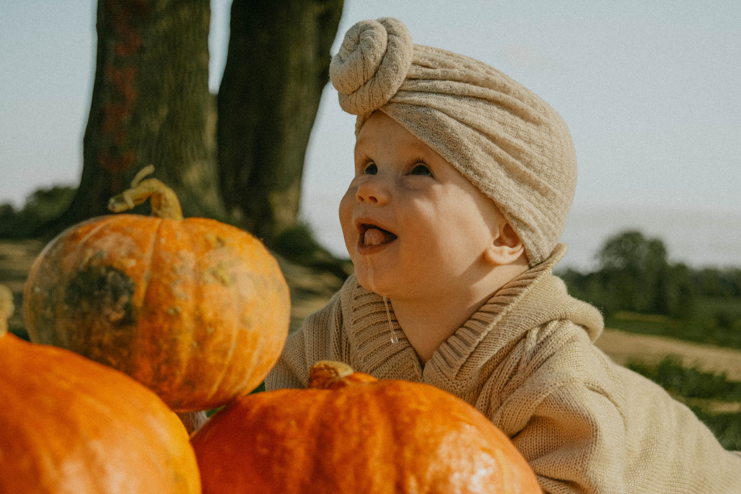 Тыквы. Семейный и детский фотограф в Санкт-Петербурге