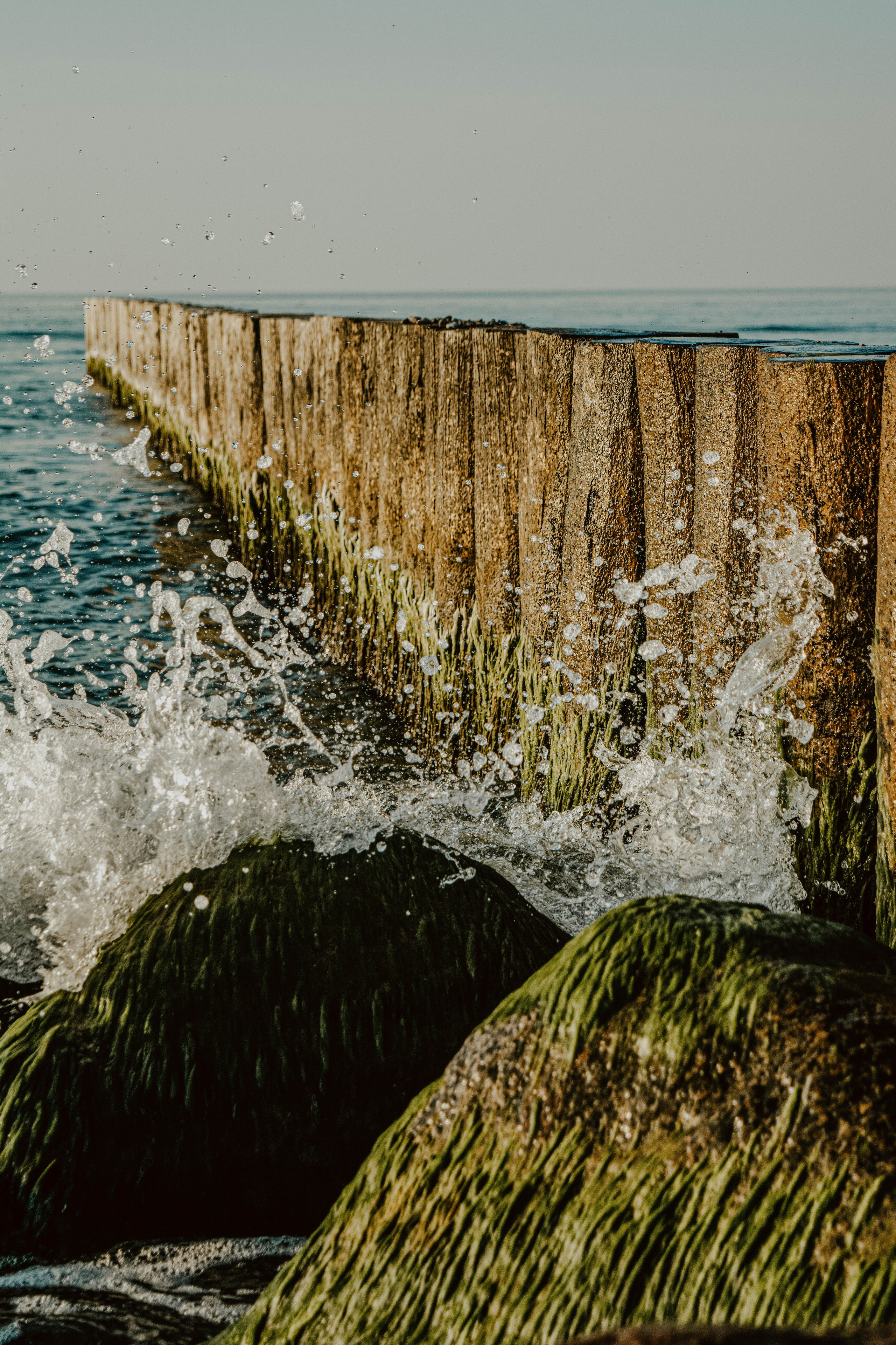 Виктория Калининград. Семейный и детский фотограф в Санкт-Петербурге
