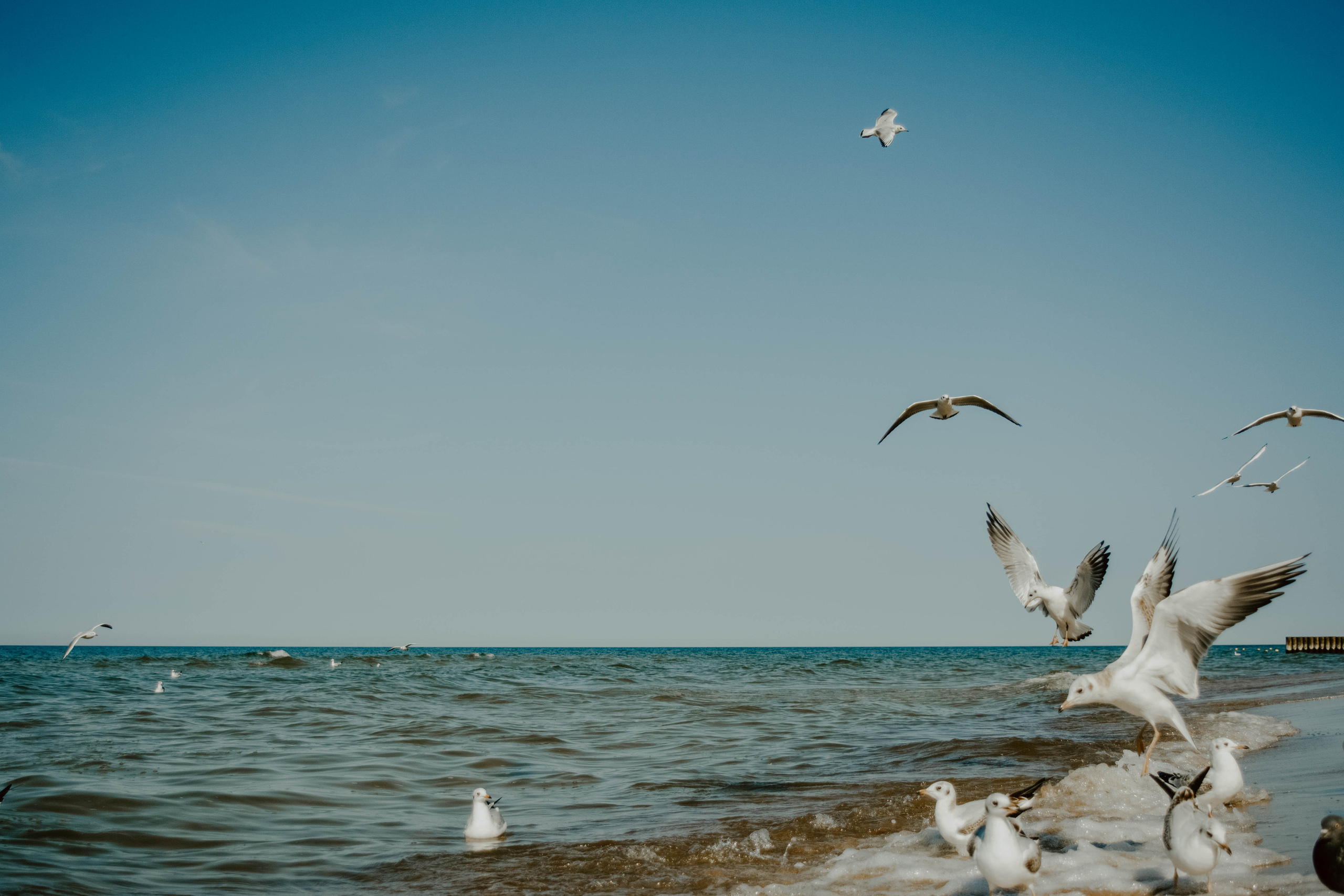Виктория Калининград. Семейный и детский фотограф в Санкт-Петербурге