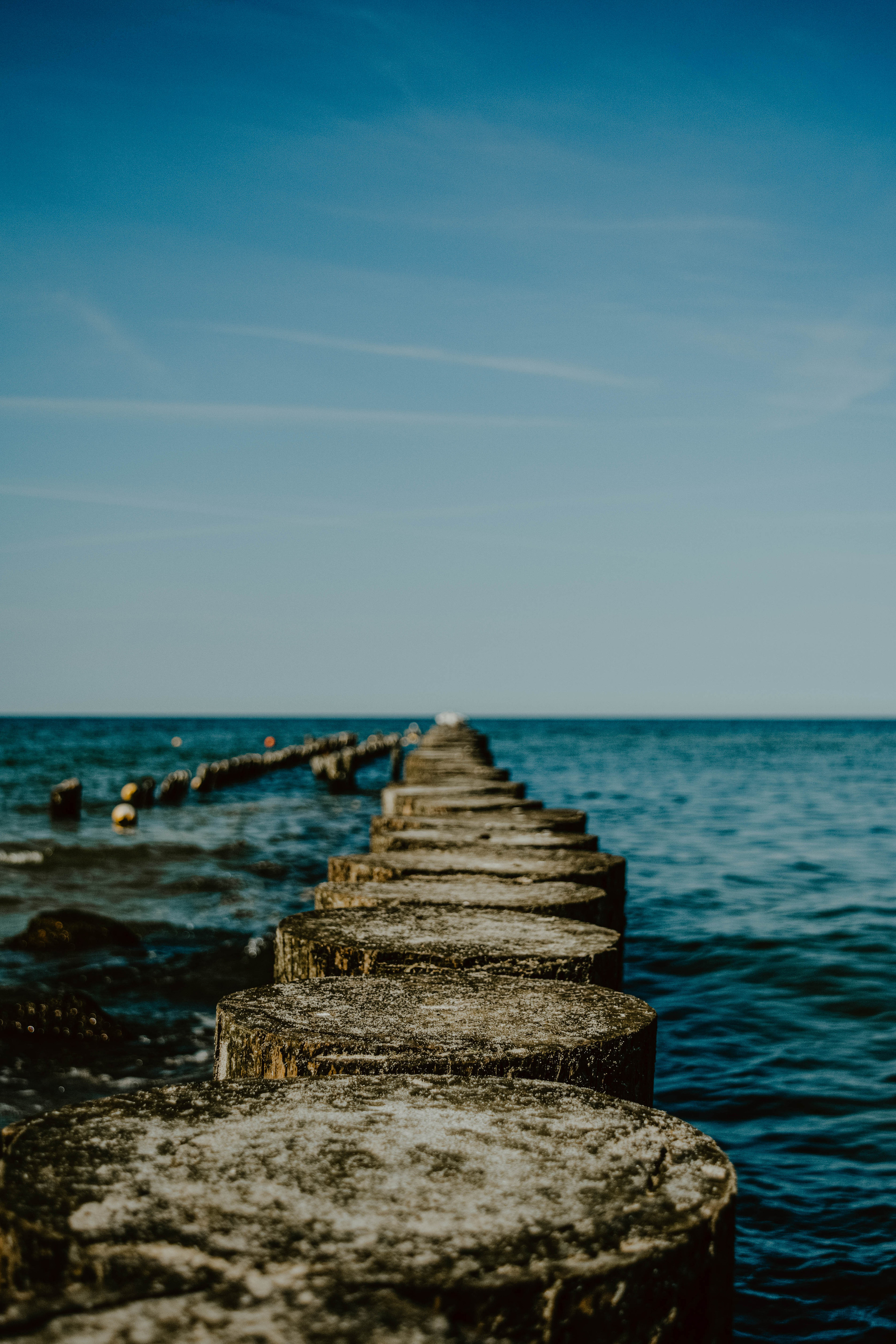 Виктория Калининград. Семейный и детский фотограф в Санкт-Петербурге