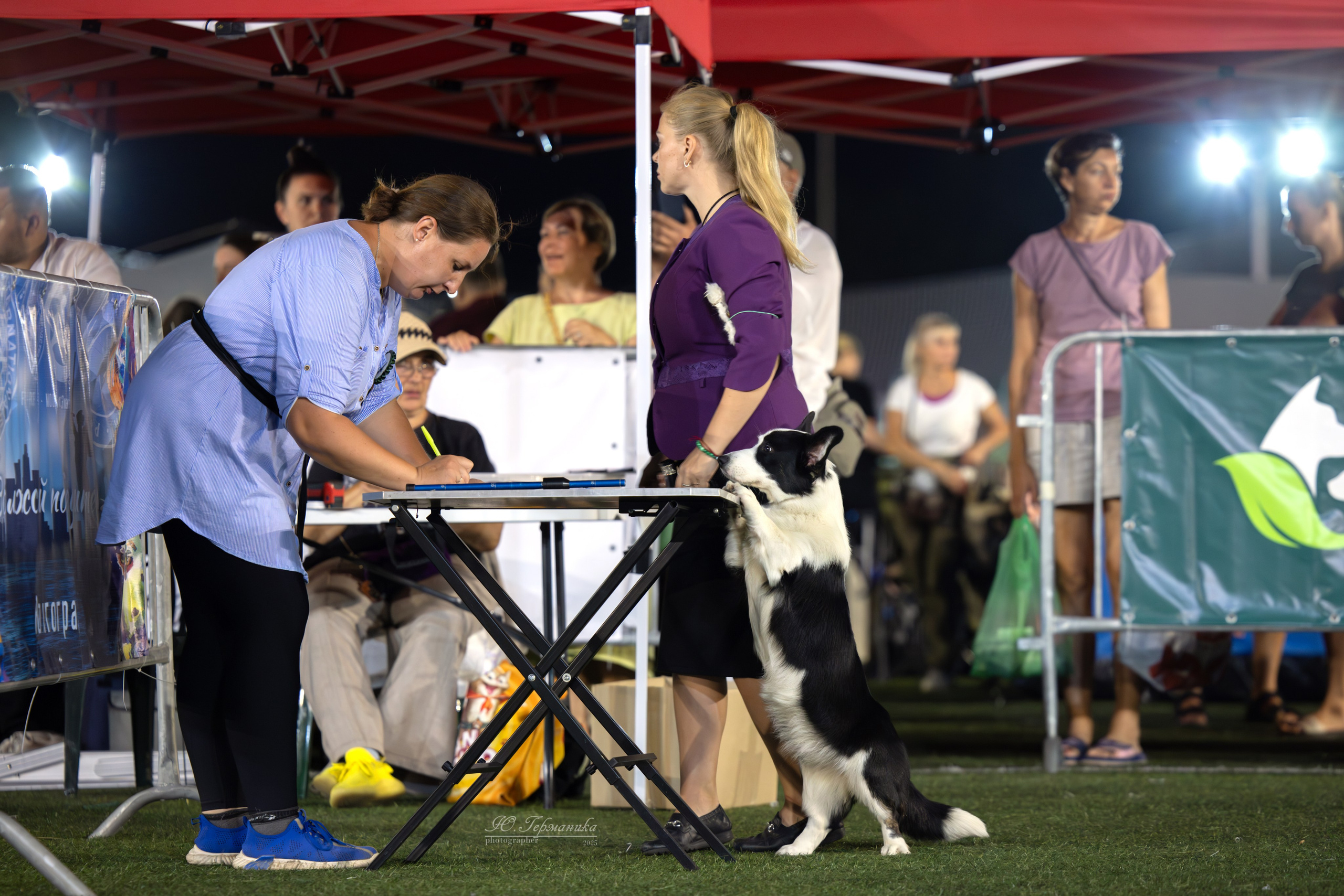 Калининград 25-27.07 Волгоград 1-3.08 2025. Фотограф-анималист Юлия Германика