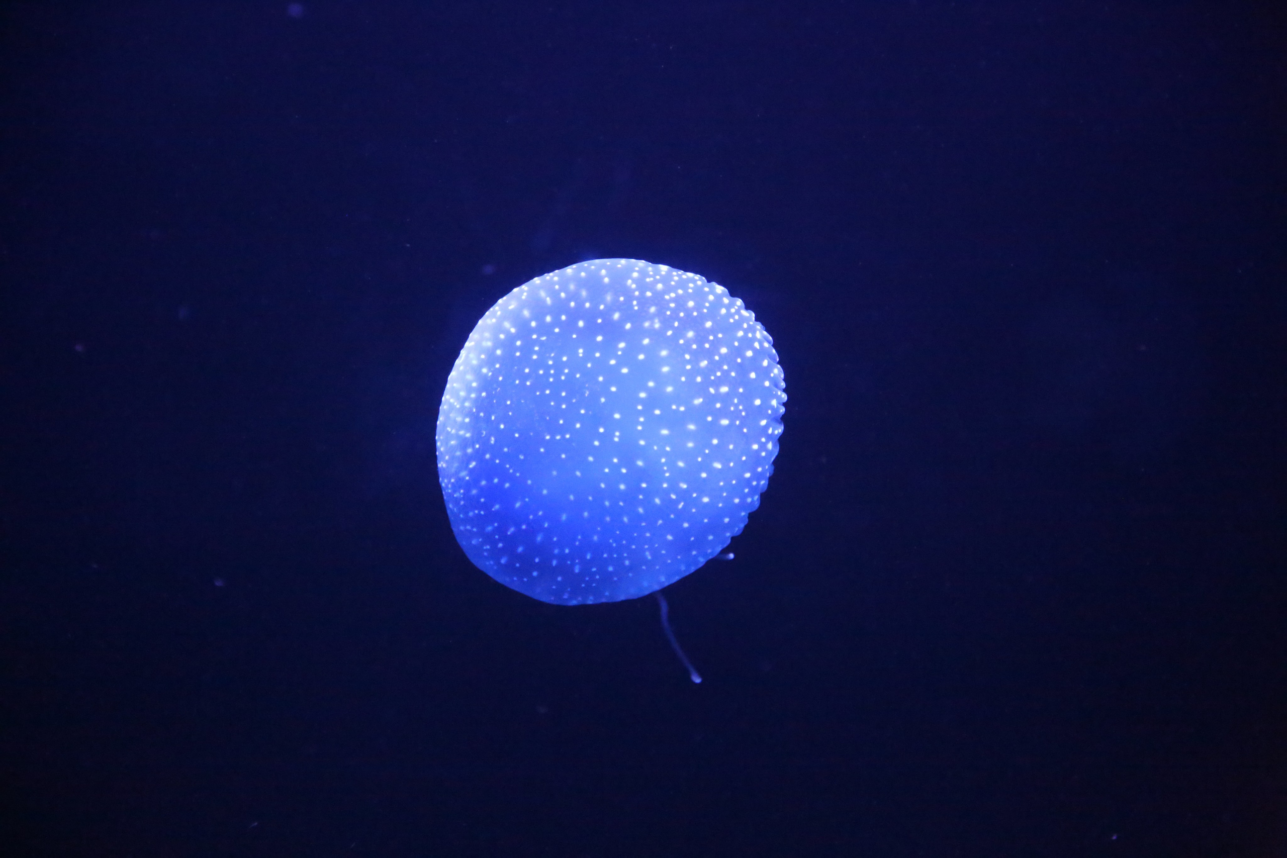 Lisbon, Portugal. Andrey Filippov Photographer