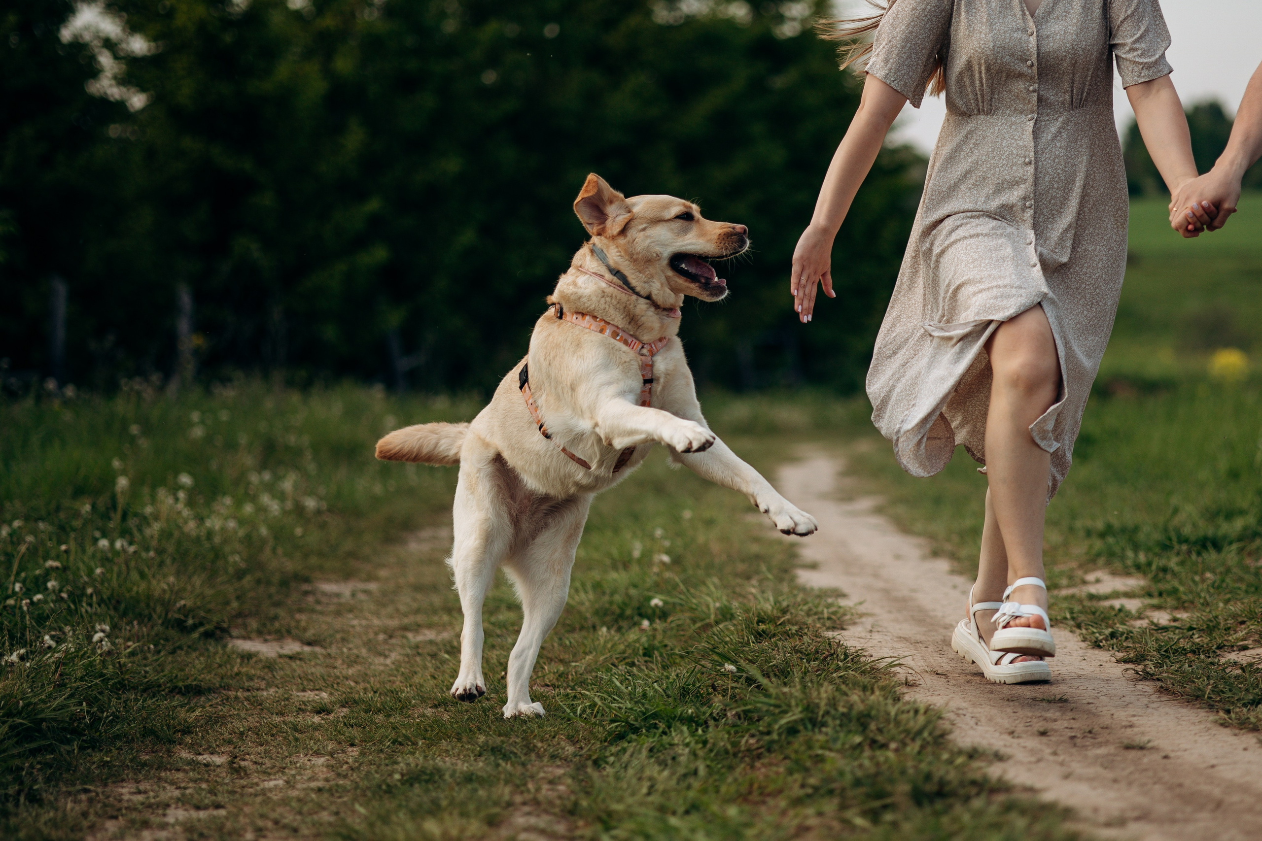 Шани и ее семья. Фотограф — Анималист | Санкт-Петербург