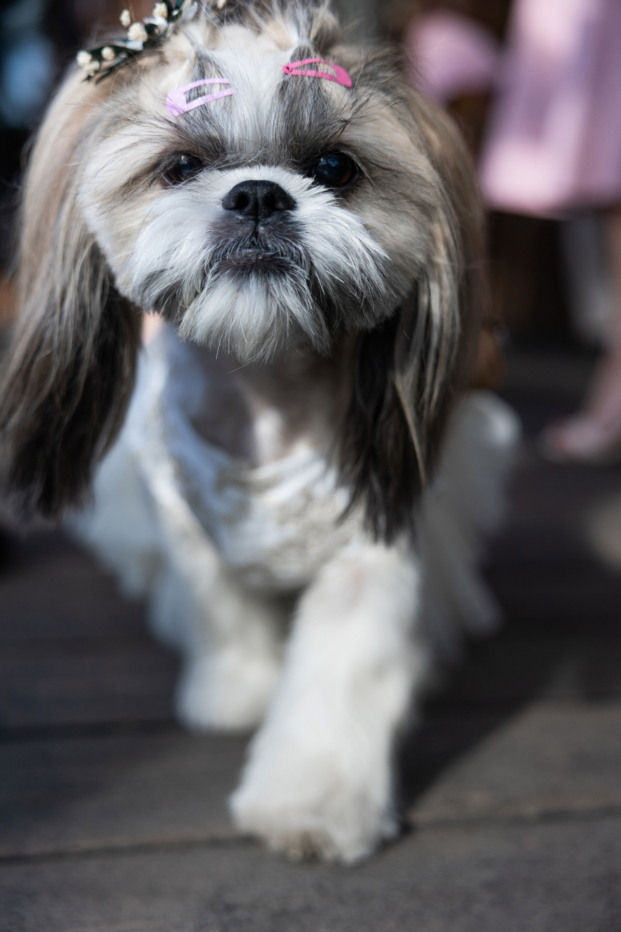 Даня и Настя. Свадебный фотограф в Санкт-Петербурге Рябикин Александр , занимаюсь св