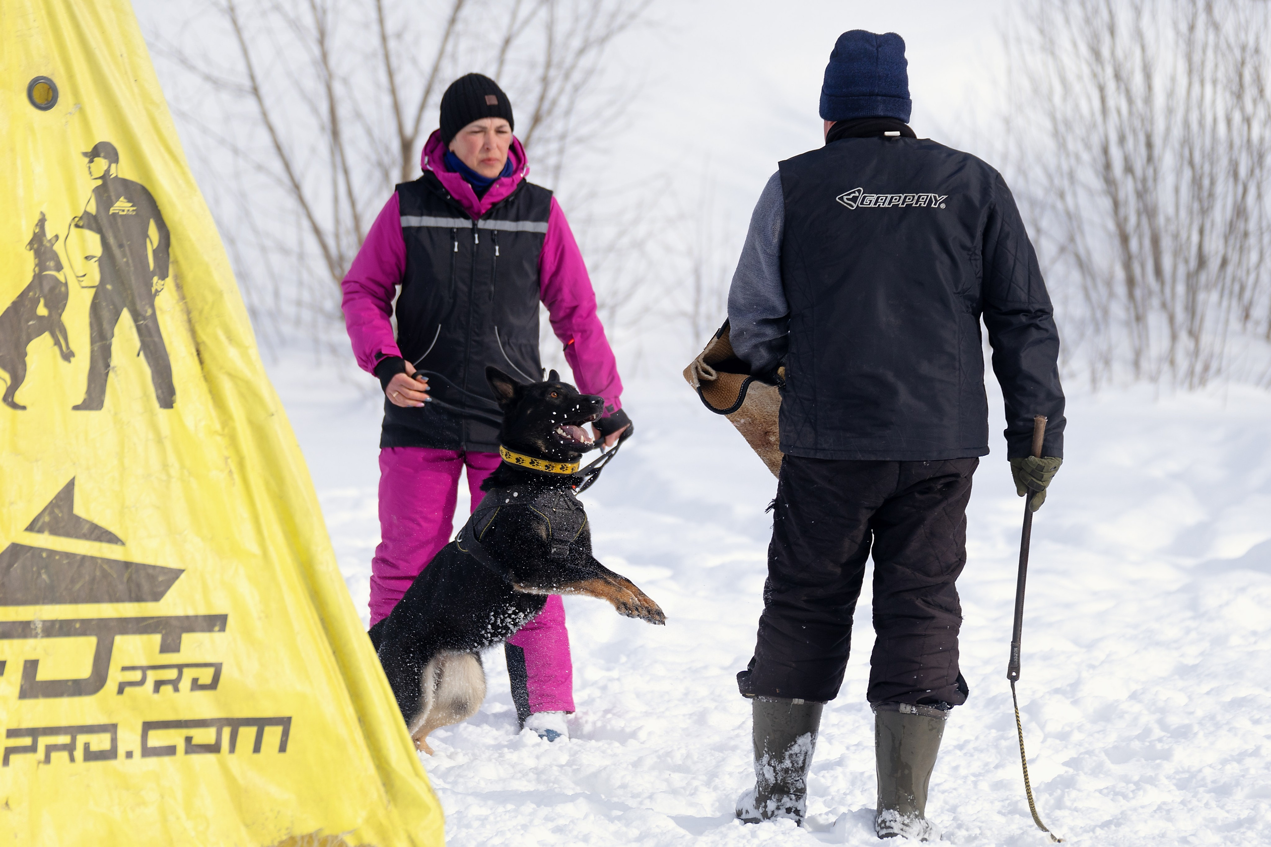 Репортажная съемка. Фотограф-анималист Нижний Новгород