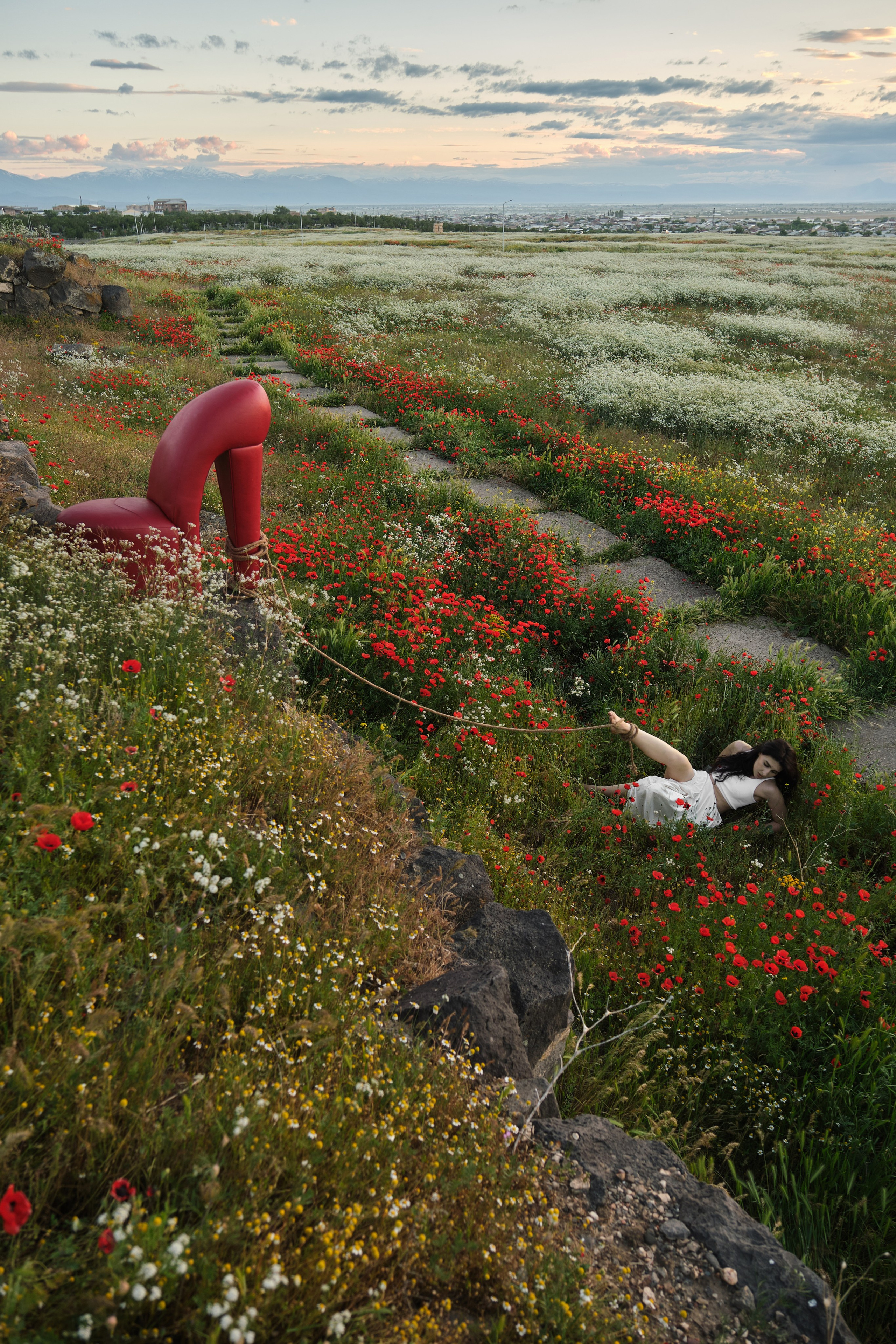 ELMIRA, CHAIR & POPPIES. Фотограф Михаил Мальчевский