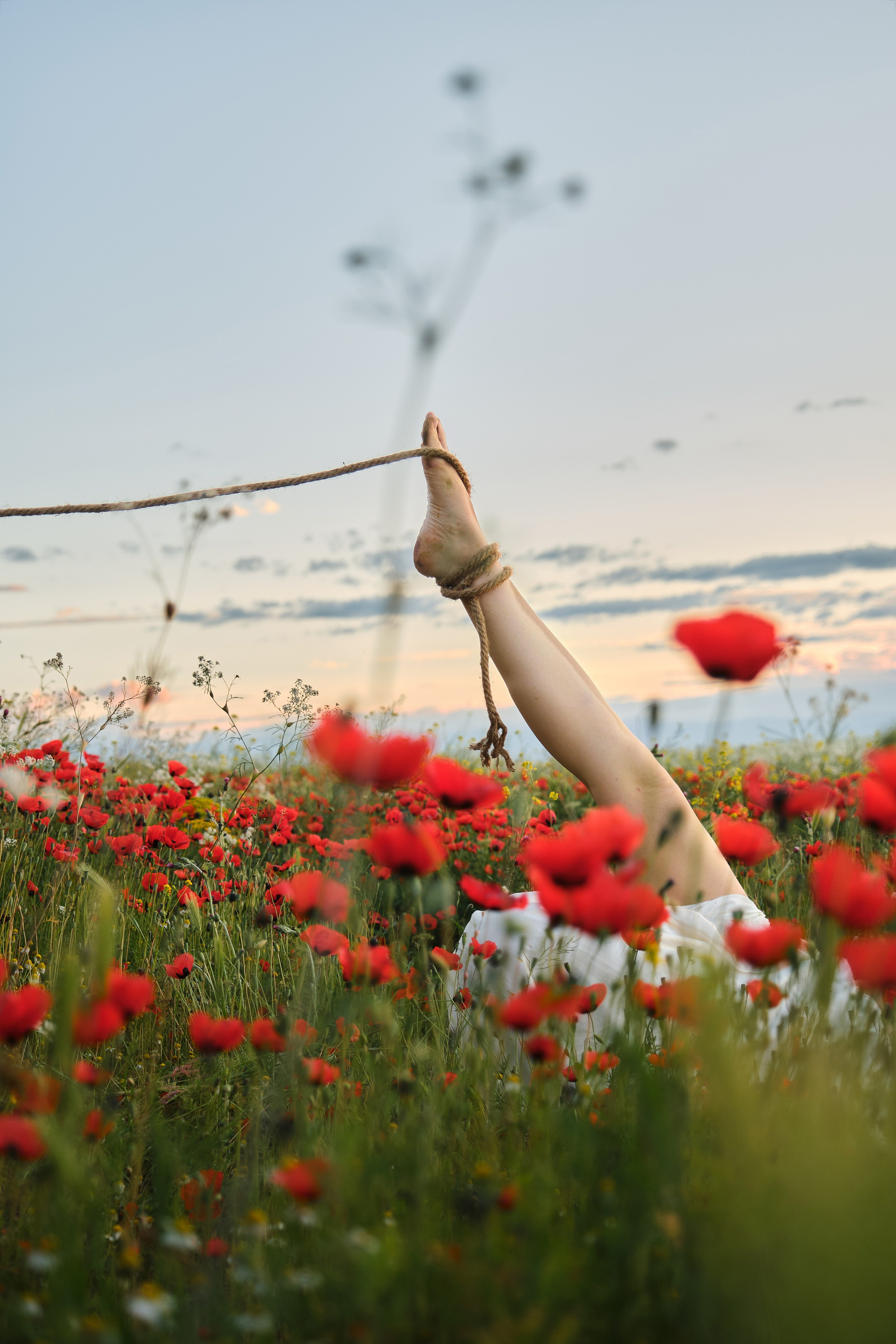 ELMIRA, CHAIR & POPPIES. Фотограф Михаил Мальчевский