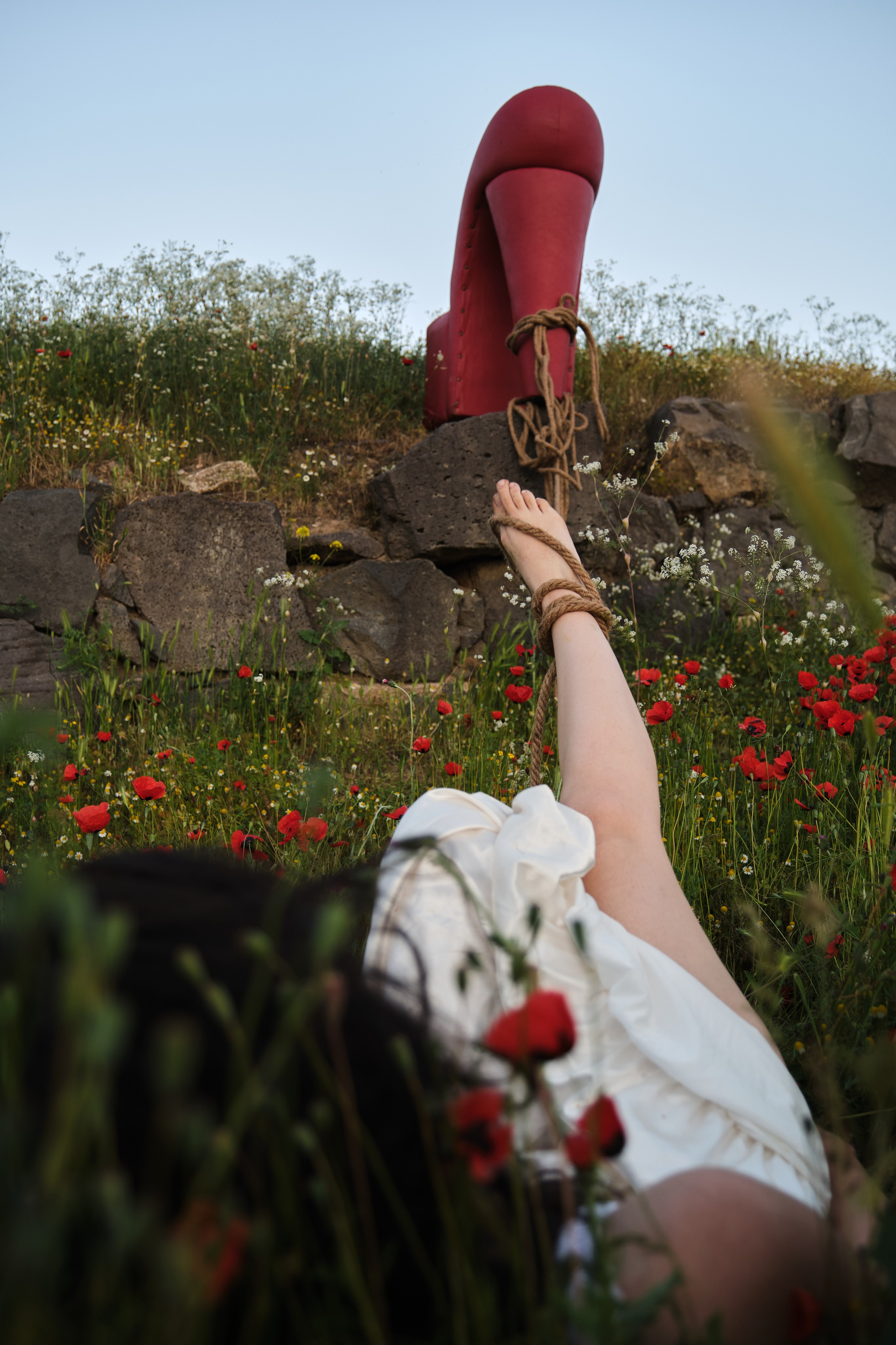 ELMIRA, CHAIR & POPPIES. Фотограф Михаил Мальчевский