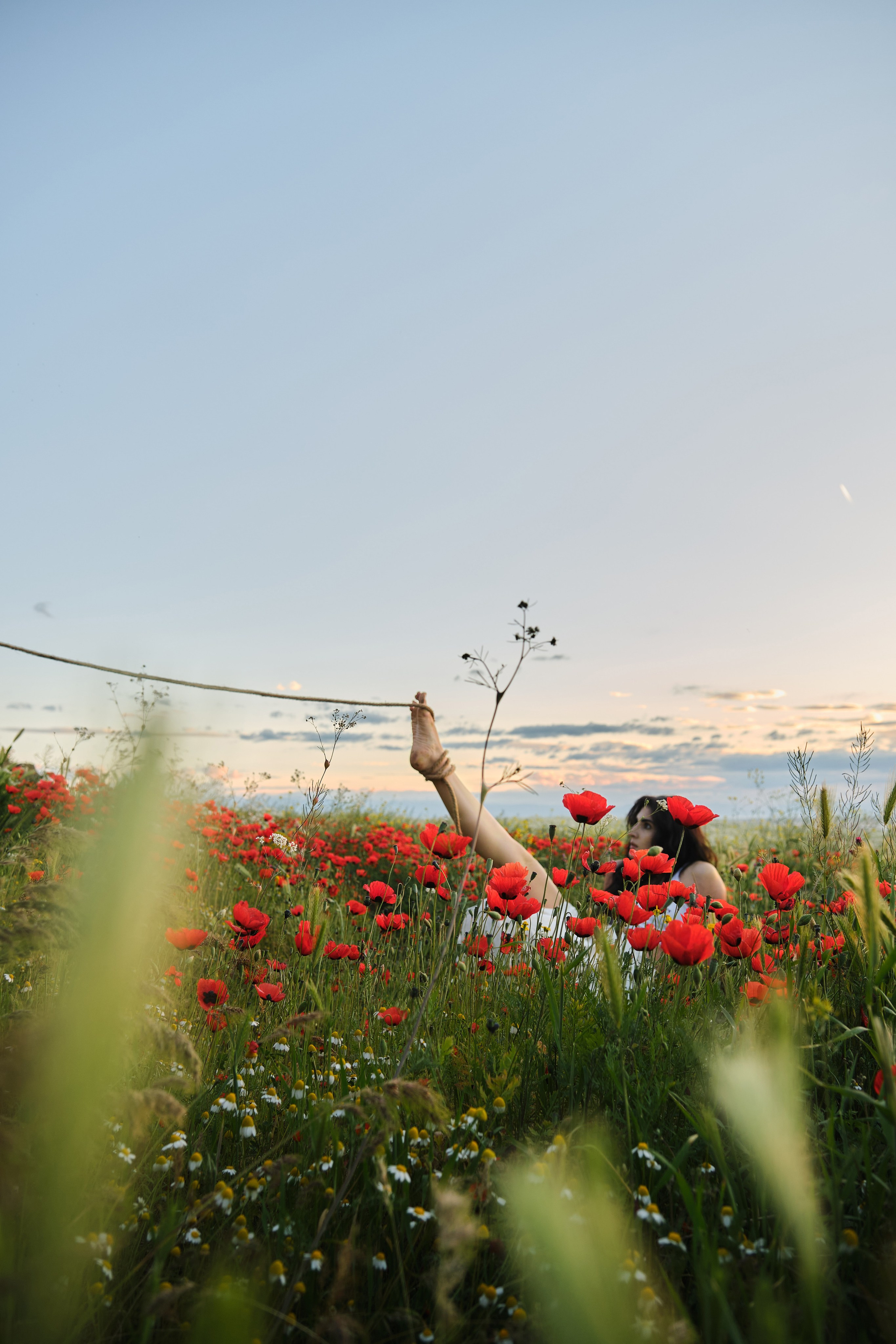 ELMIRA, CHAIR & POPPIES. Фотограф Михаил Мальчевский