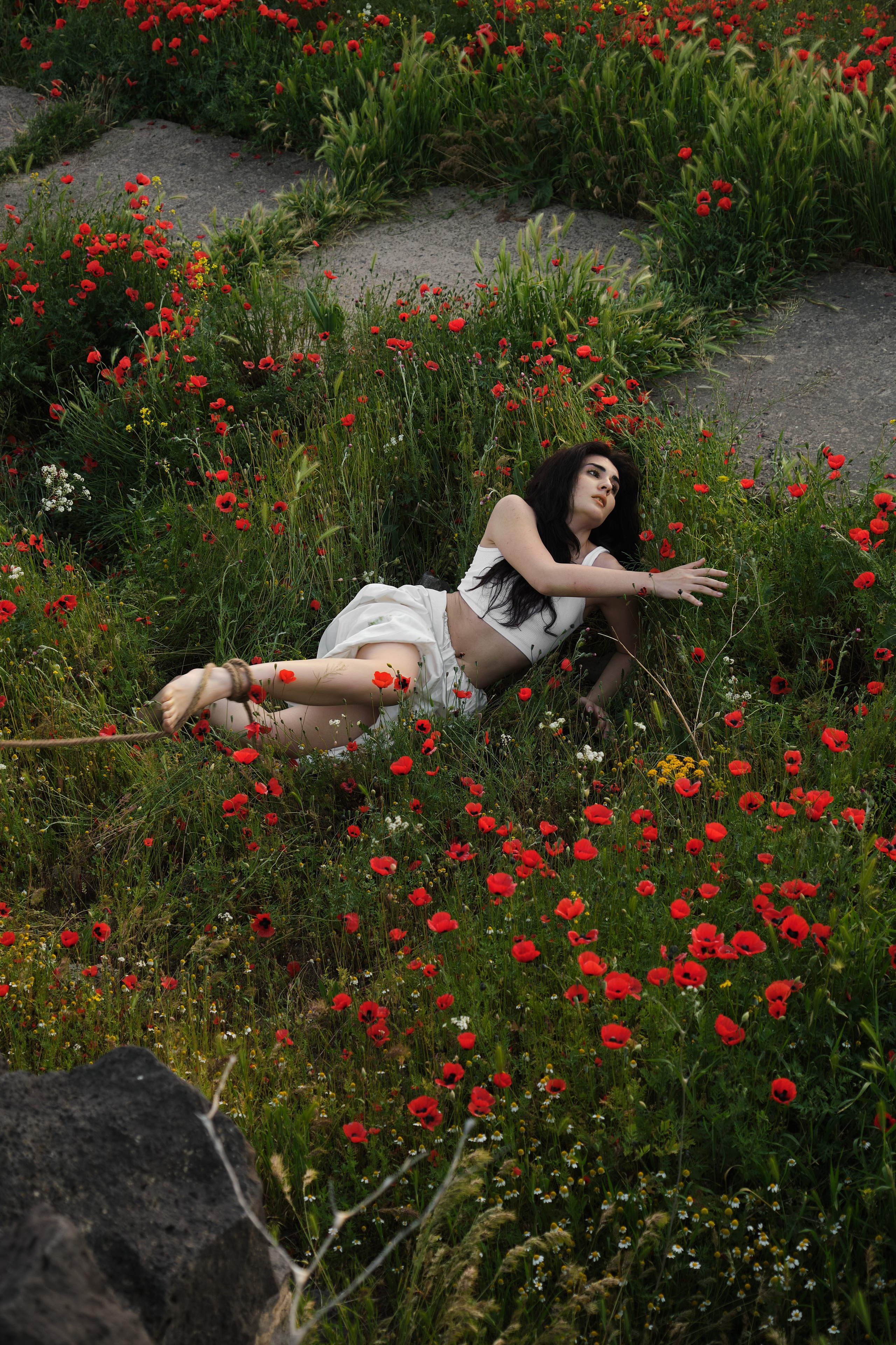 ELMIRA, CHAIR & POPPIES. Фотограф Михаил Мальчевский