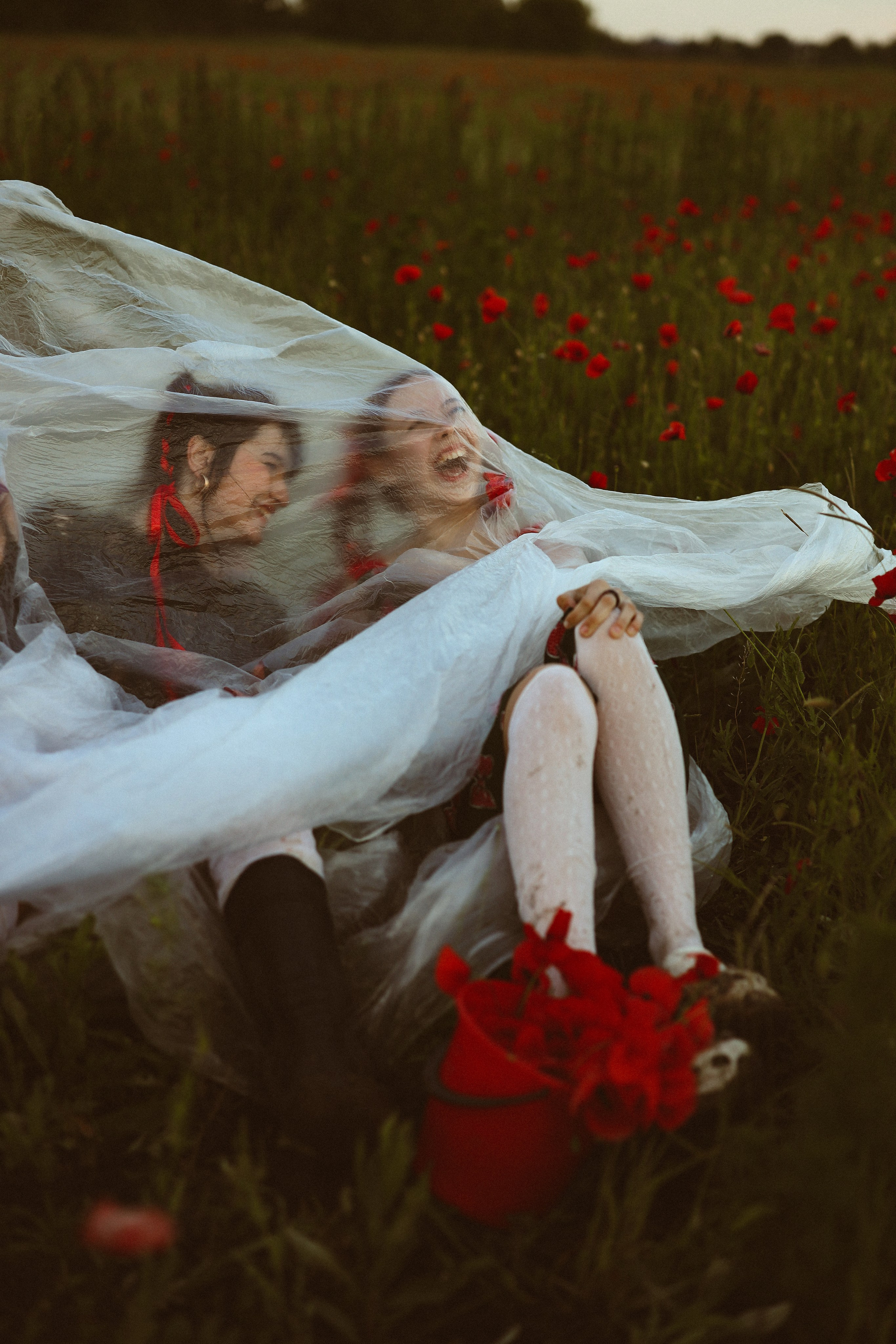 Фотосессия девочек в поле маков. Свадебный и семейный фотограф в Абхазии Жанна Соснина