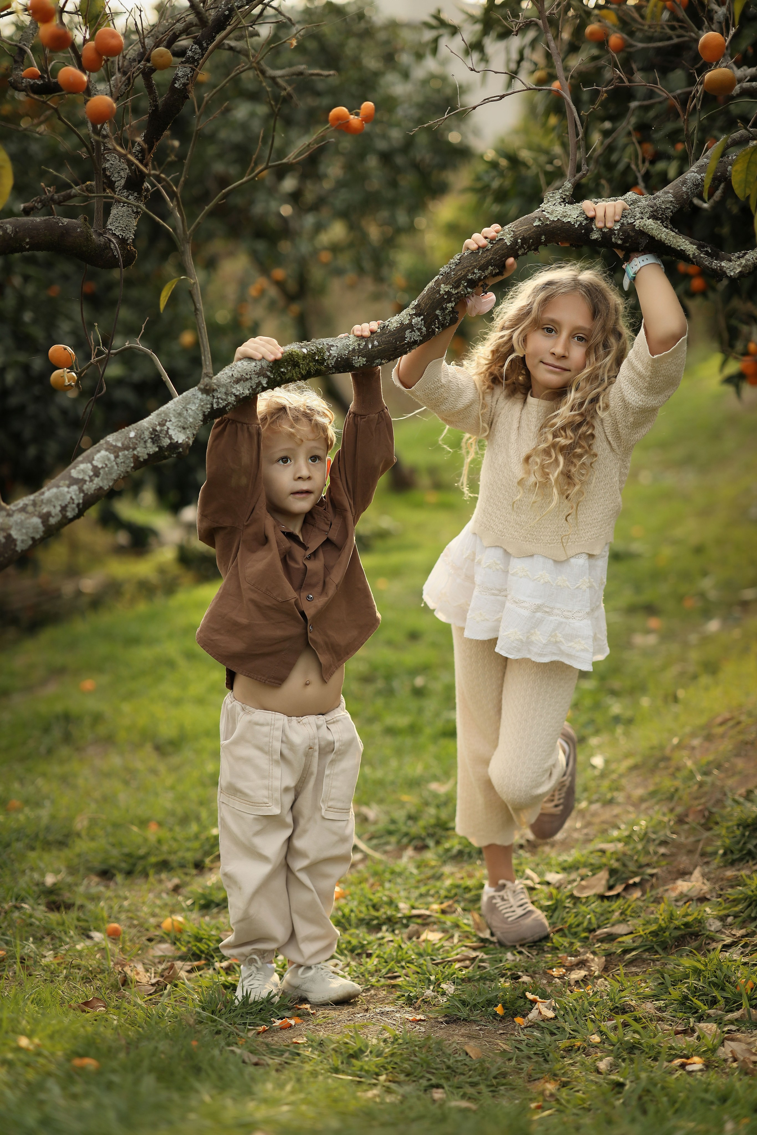 Семейная фотосессия в мандариновом саду Абхазии. Свадебный и семейный фотограф в Абхазии Жанна Соснина