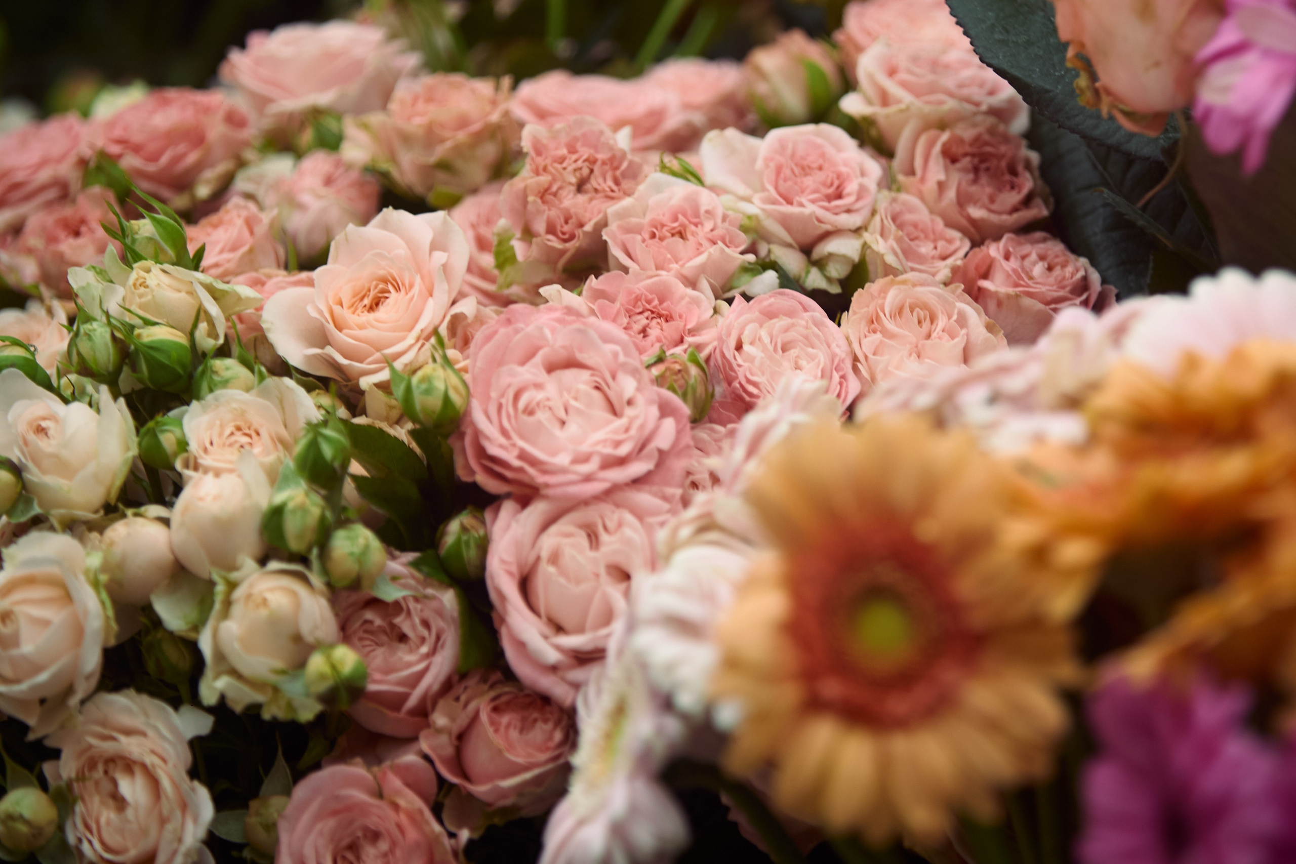 ART-HAOS. Фотограф видеограф в Москве и Московской области Саша Секрет