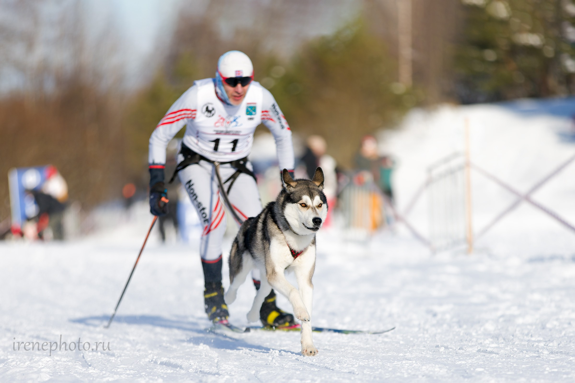 Чемпионат и Первенство Ленобласти — зима 2026. Irenephoto.ru