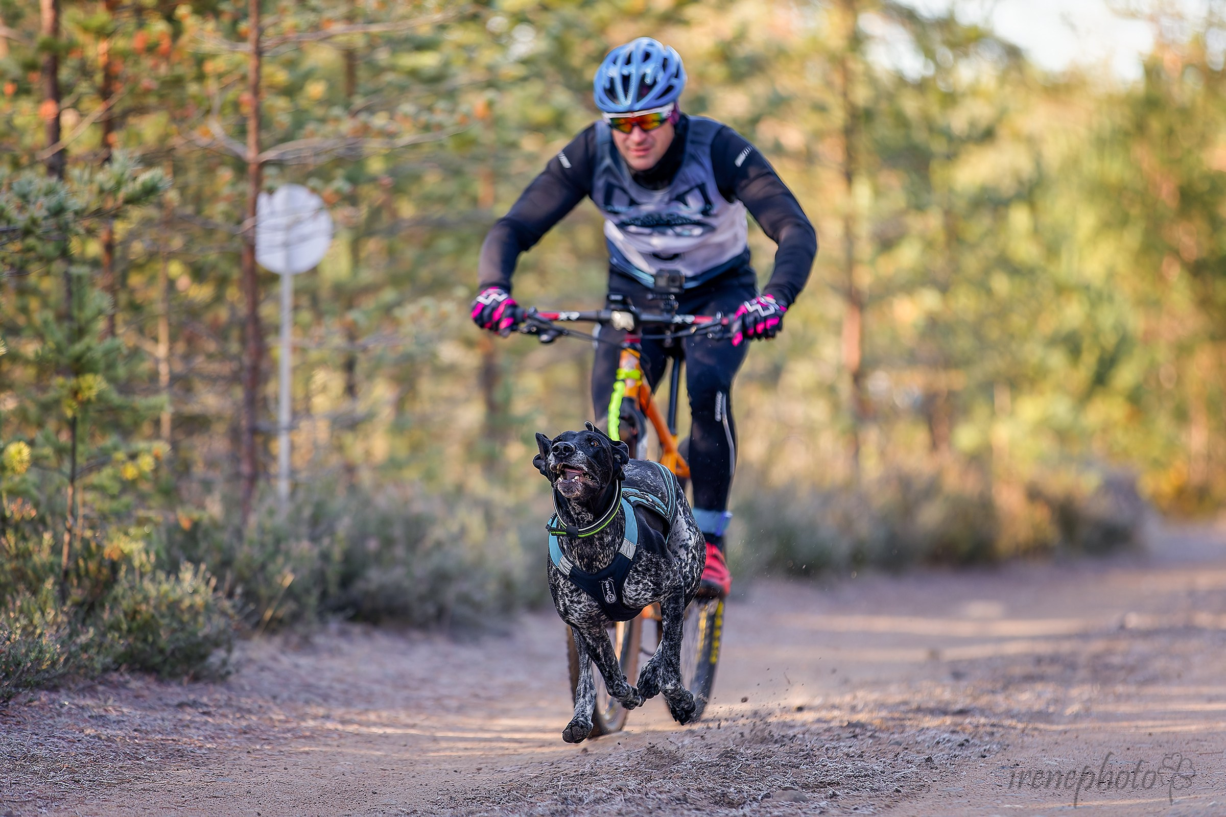 Чемпионат Санкт-Петербурга осень 2025. Irenephoto.ru