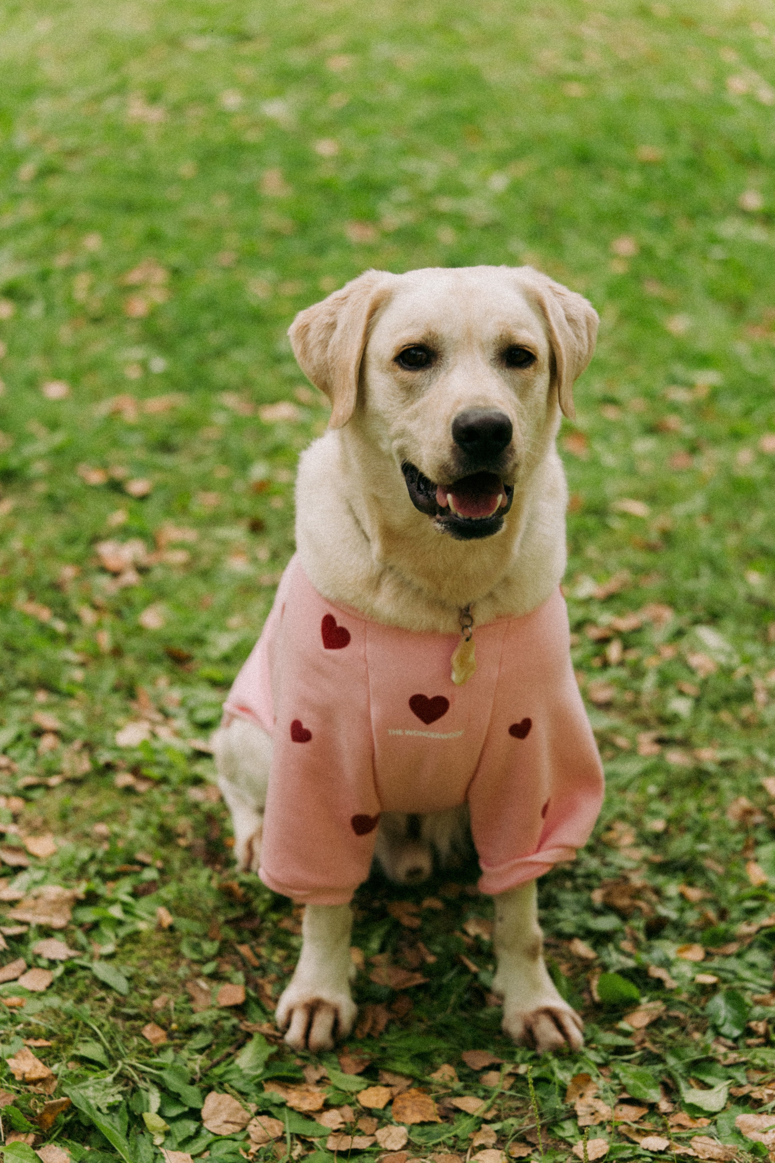 Никита и Полина. Свадебный фотограф Артем Смирнов