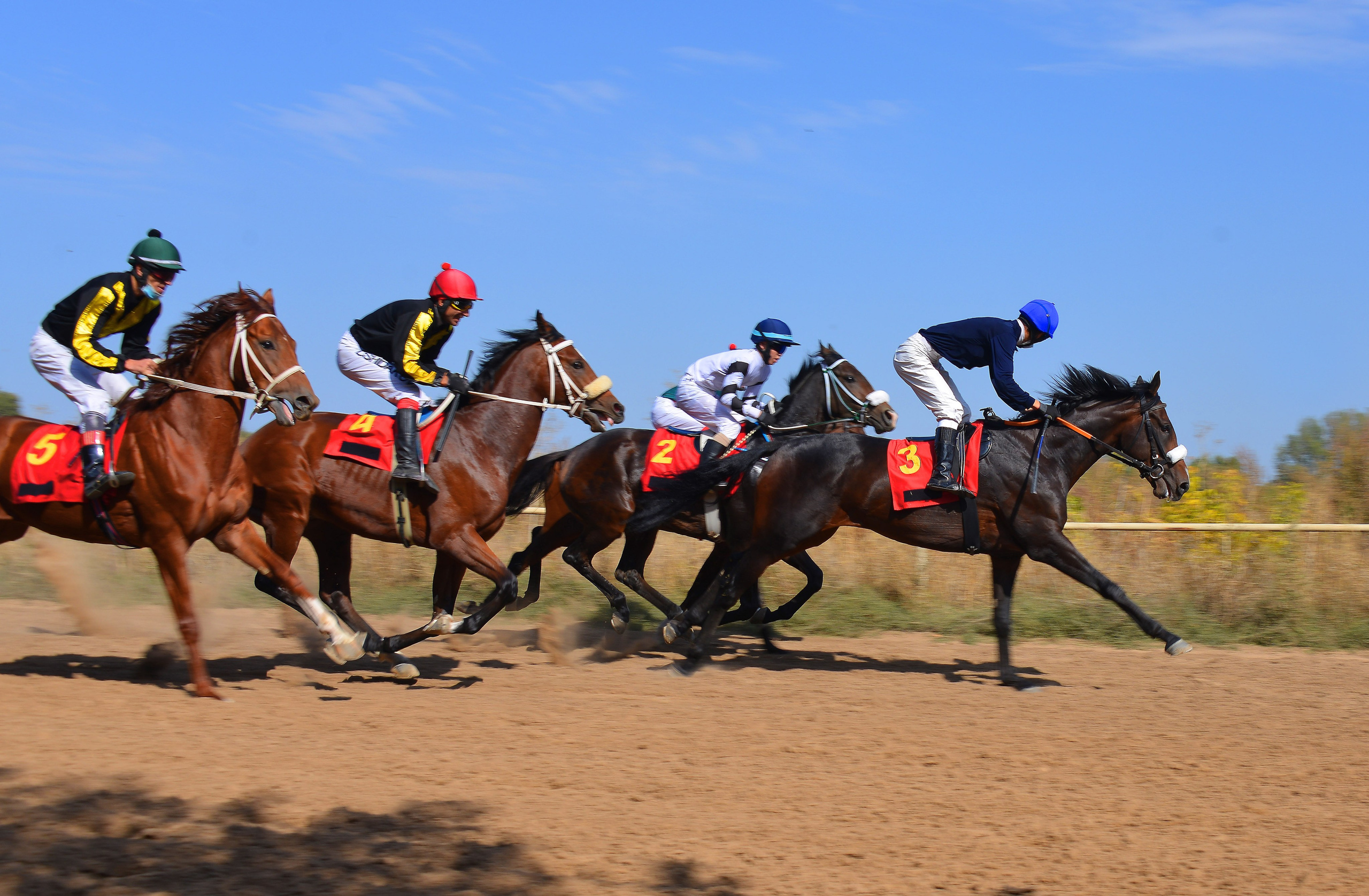 Скачки. Фотосъёмка. Фотограф Сергей Авдеев-семейный и детский фотограф в Алматы