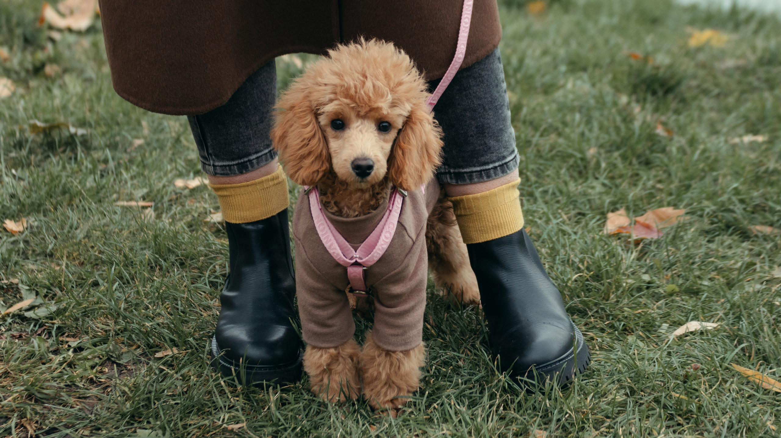 Прогулка с Анастасией и Симоной. Стас Соболь, фотограф анималист, репортажник, Москва