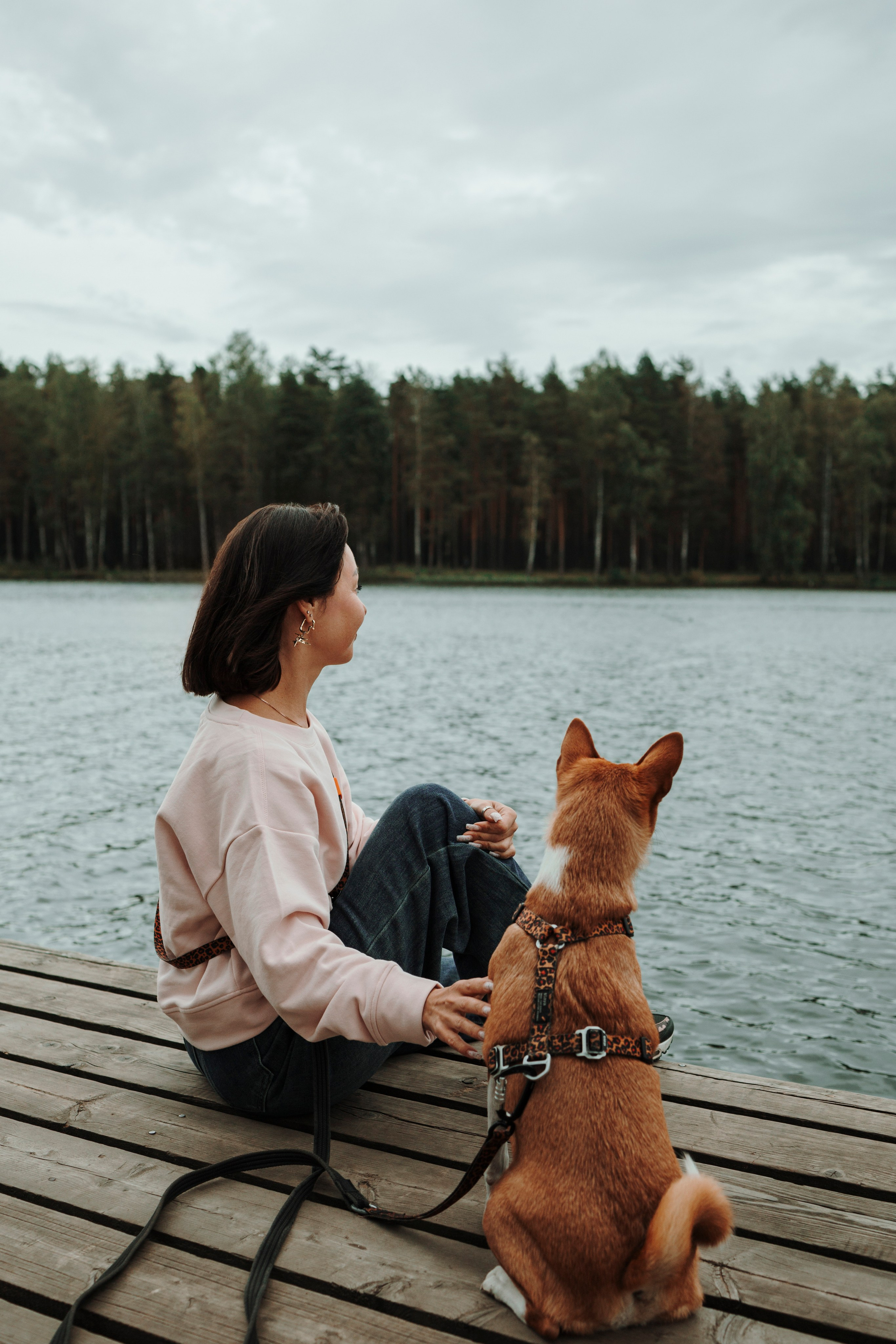 Даша и Лора. Фотограф-анималист в Санкт-Петеребурге Титова Алиса