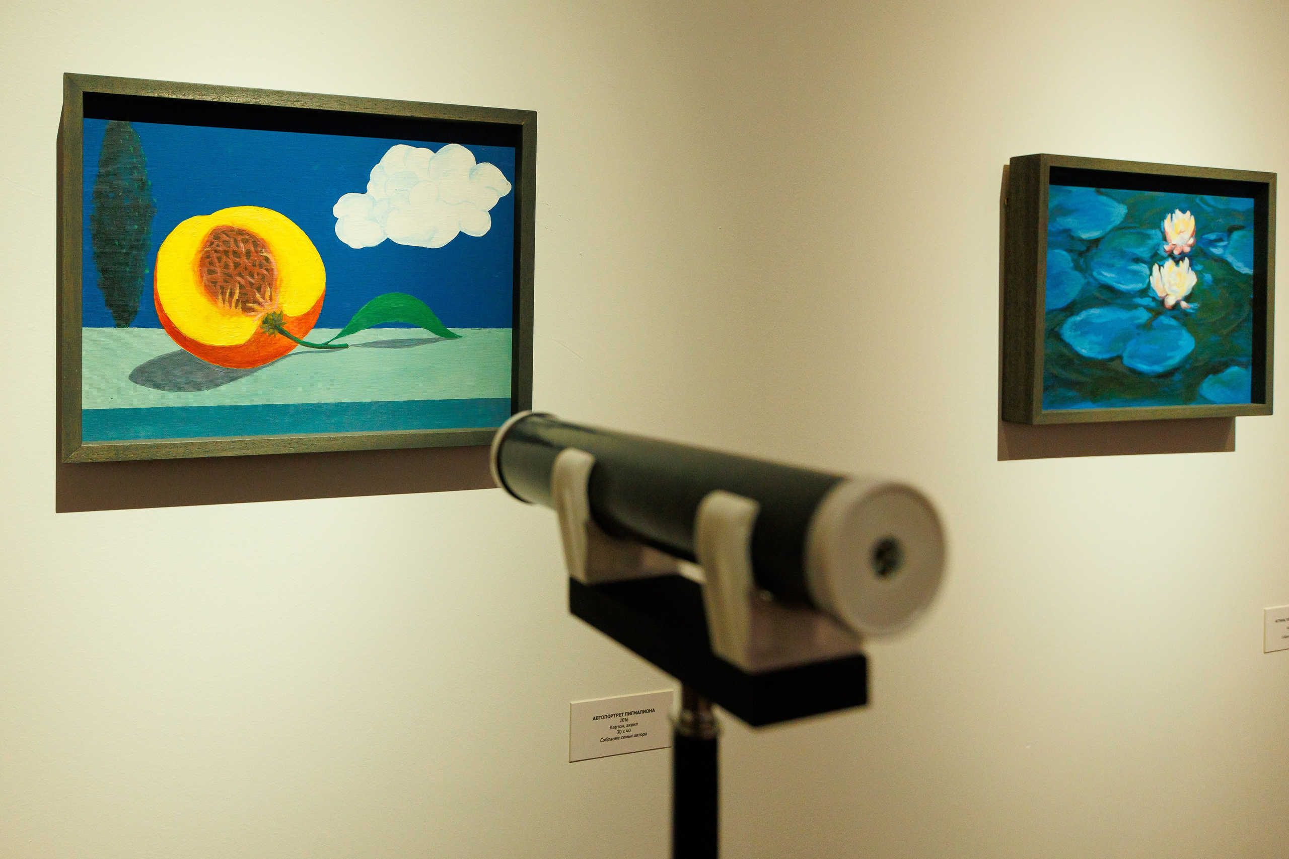 Открытите выставки Небесная География или разбор полетов Андрея Филиппова. Фотограф Иван Недорез