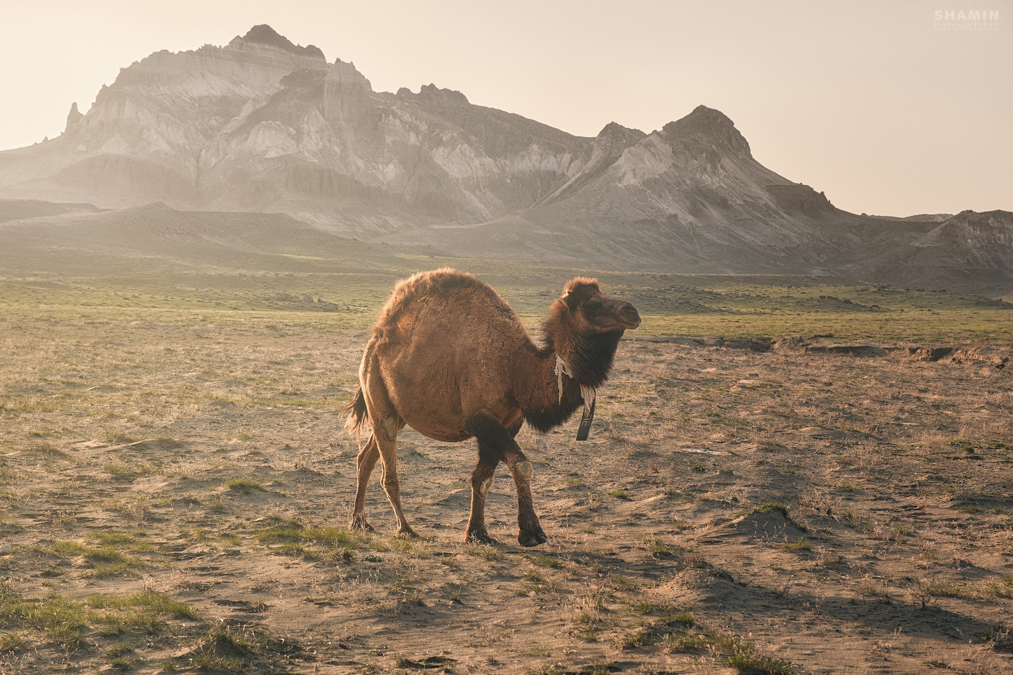 Пейзажи Казахстана и Мангистау — плато Устюрт, урочище Бозжыра, степи и каньоны западного Казахстана. Свет, тишина и контрасты пустынных ландшафтов. Фотограф Константин Шамин