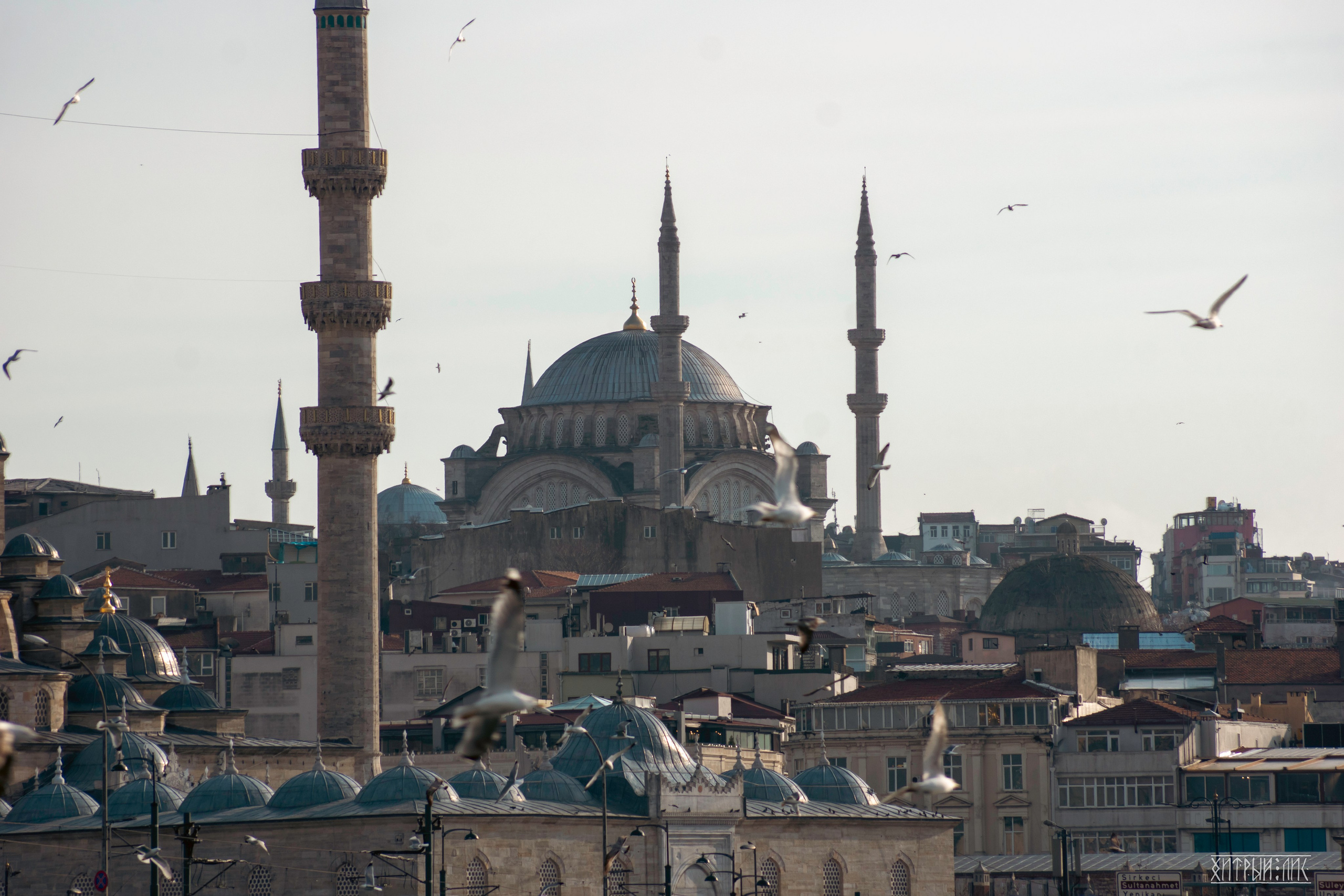 Стамбул. Фотограф-путешественник Самойлов Максим «Sly Fox»