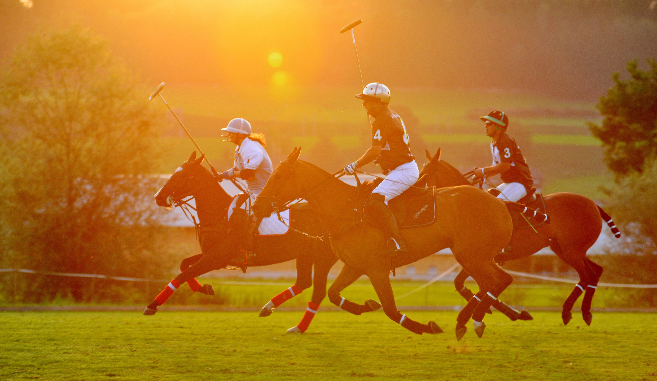 Polo art photos. Art photos of horses — ARTUR BABOEV | Photographer