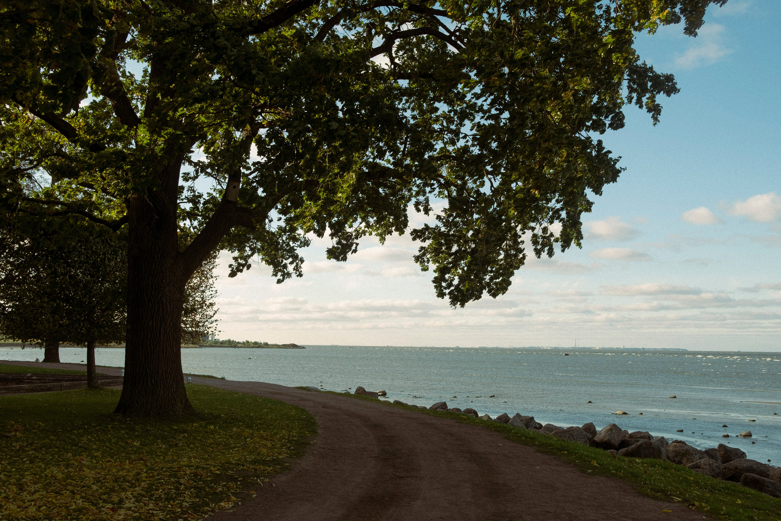 Питер, 2021. Портретный фотограф в Москве Евгения Яковенко