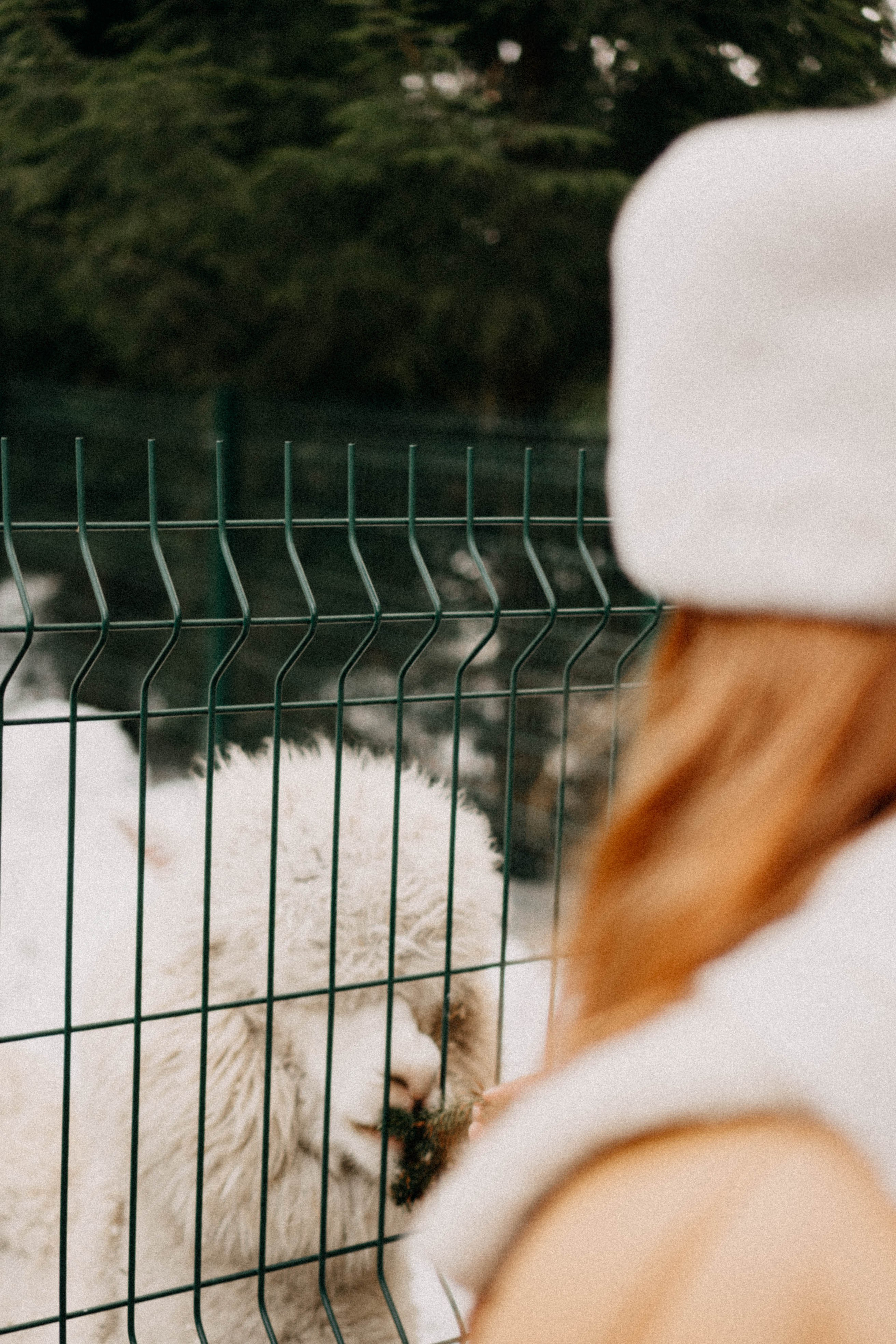 Каток. Профессиональный фотограф, Санкт-Петербург — Виктория Богомолова