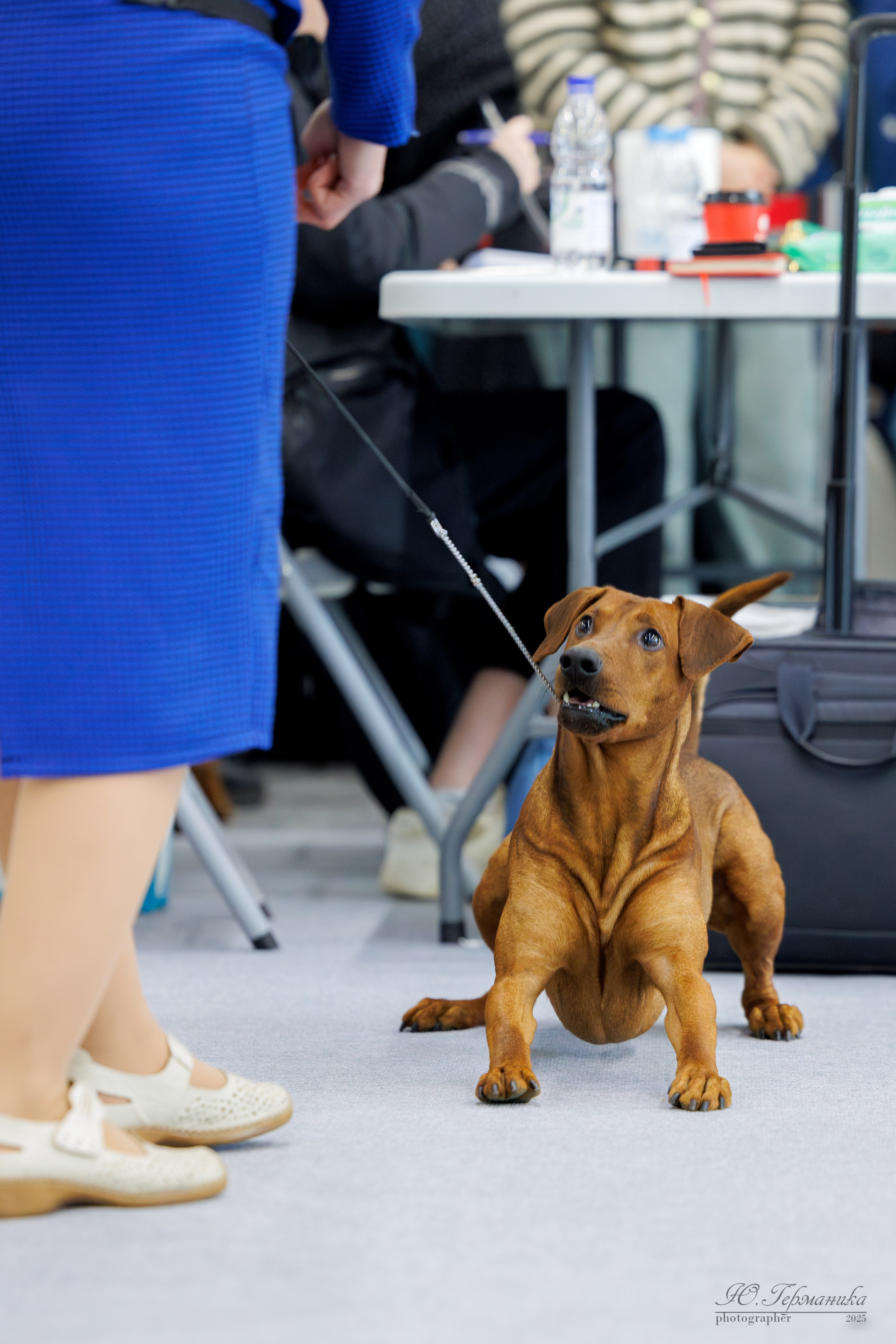 Сабанеевка Казань 25-26.01.2025. Фотограф-анималист Юлия Германика