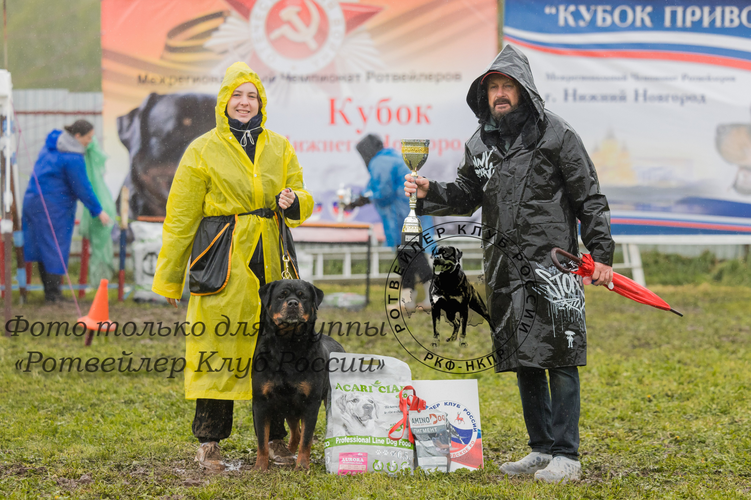 Нижний Новгород 2хмоно ротвейлеров 10-11.05.2025. Фотограф-анималист Юлия Германика