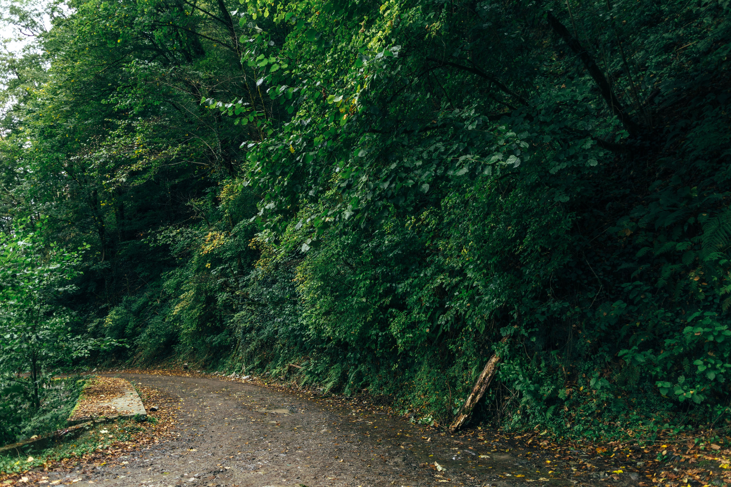 Оштенский Кордон. Семейный фотограф в Белгороде