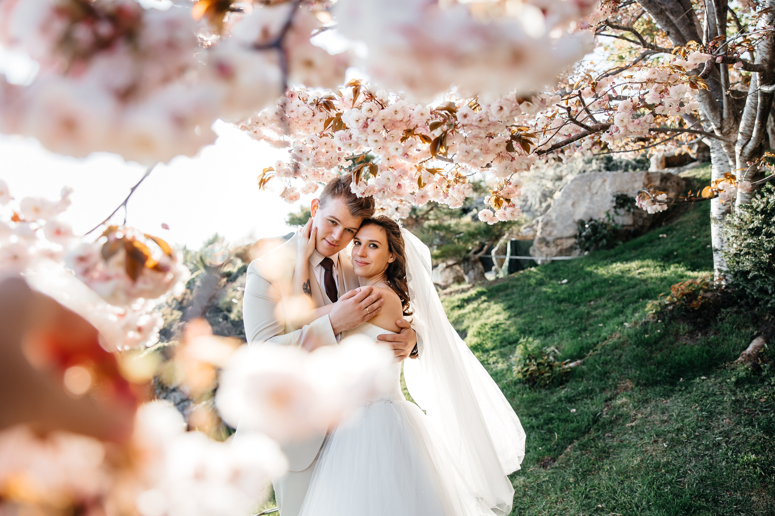Сакура в Японском саду. Анонс свадьбы для Никиты и Марины. Свадебный фотограф в Крыму и Севастополе Ольга Баскакова