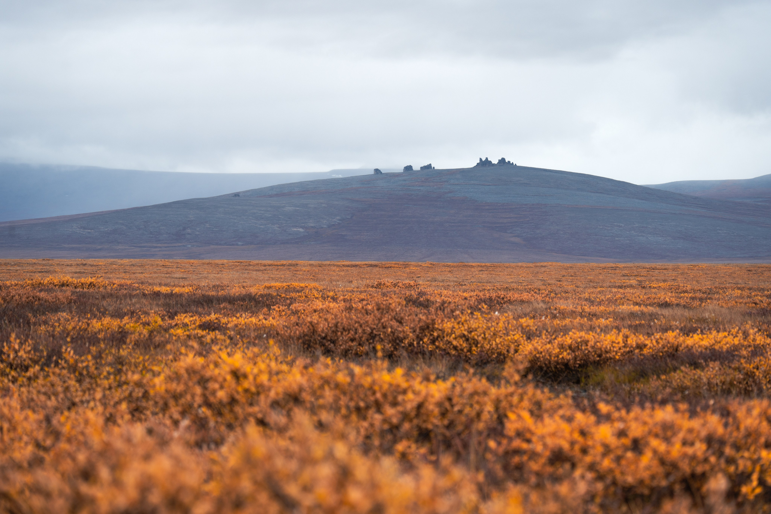 Чукотка. Gusarov Travel Photography