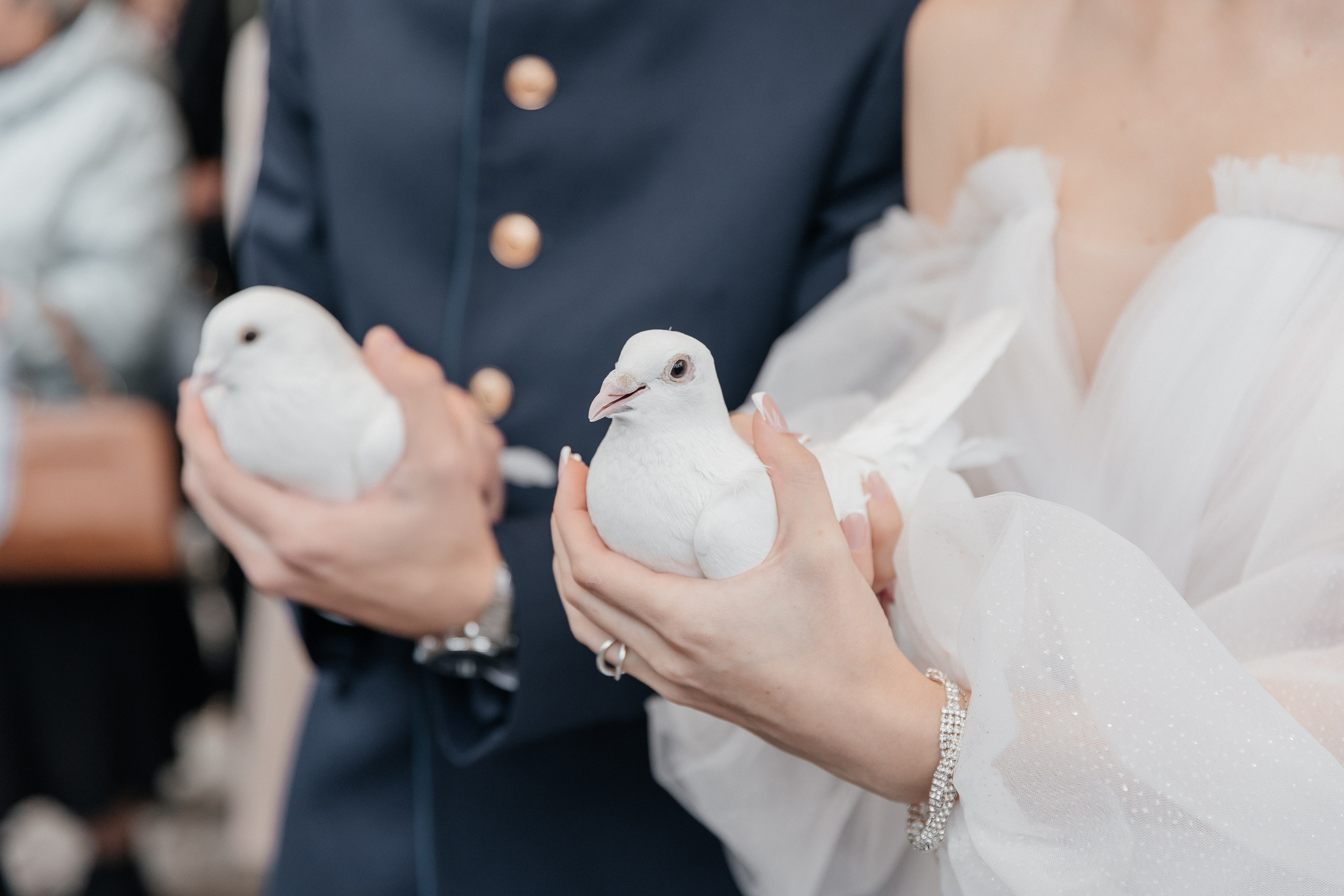 Соня и Самвел. Свадебный фотограф Кристина Тимощук