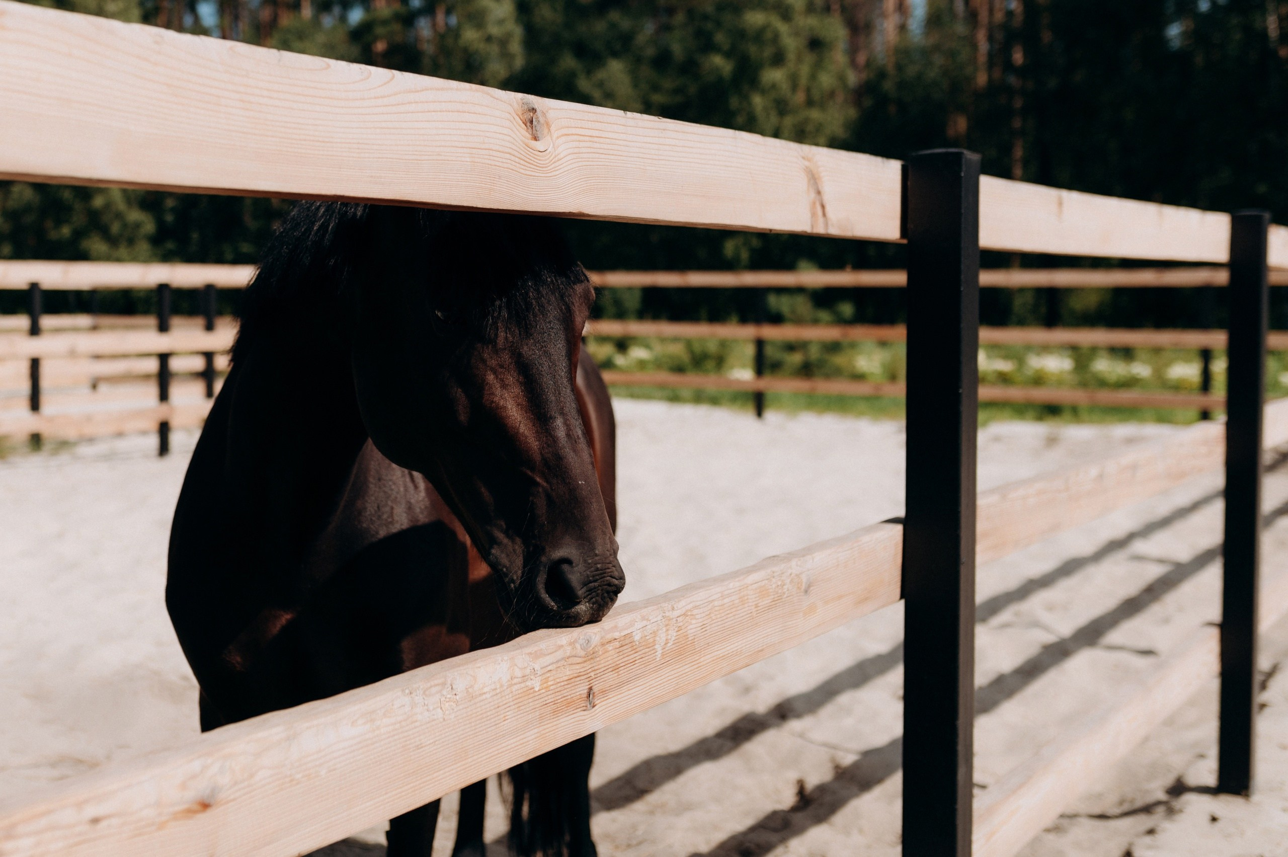 Локации для фотосессии в Тамбове. Свадебный фотограф в Тамбове Валерий Тихов