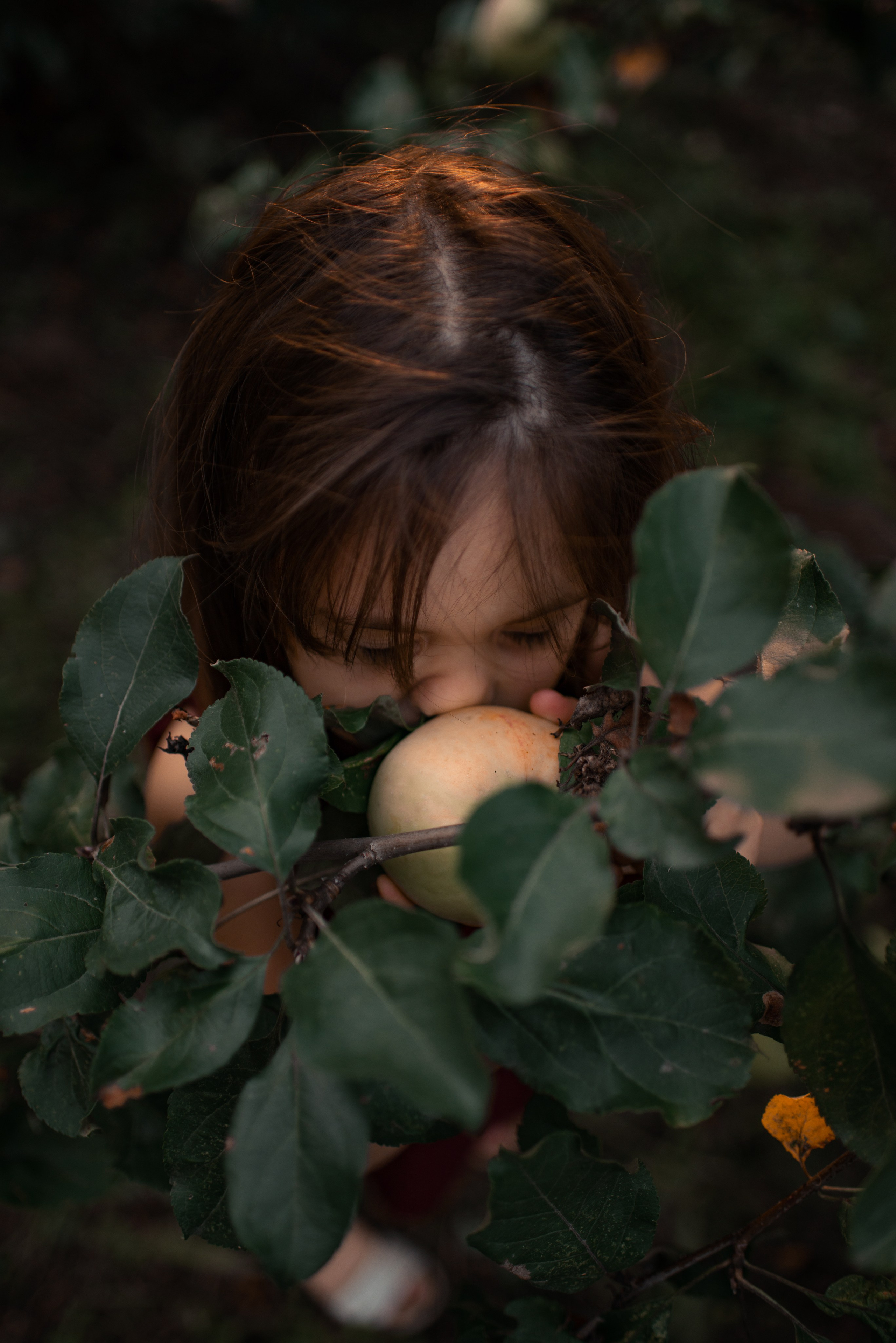Семейная фотосъемка. Семейный фотограф Псков. Спб.|Анастасия Войналович