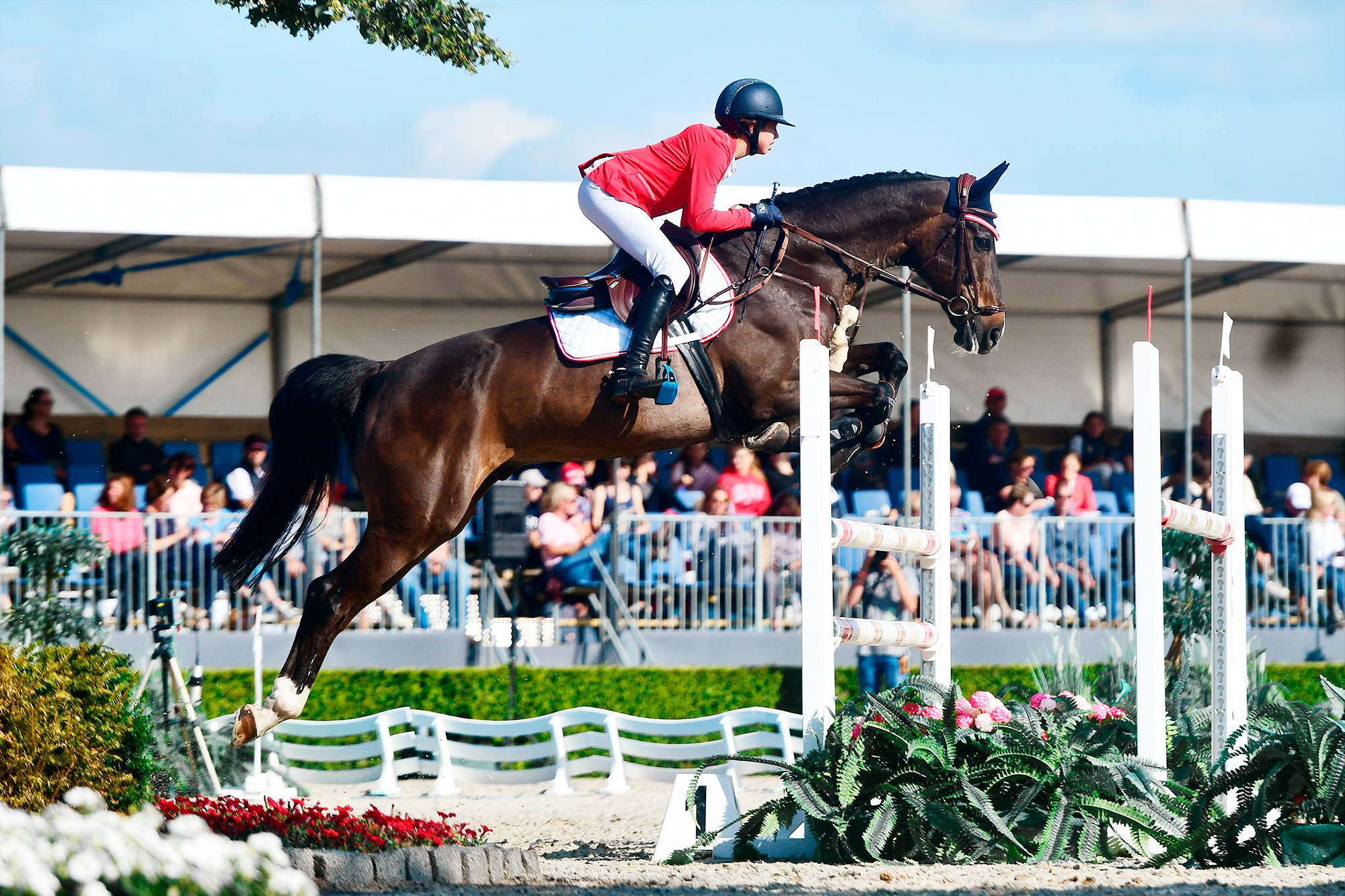 Конкур. Конный фотограф Alesya Safe