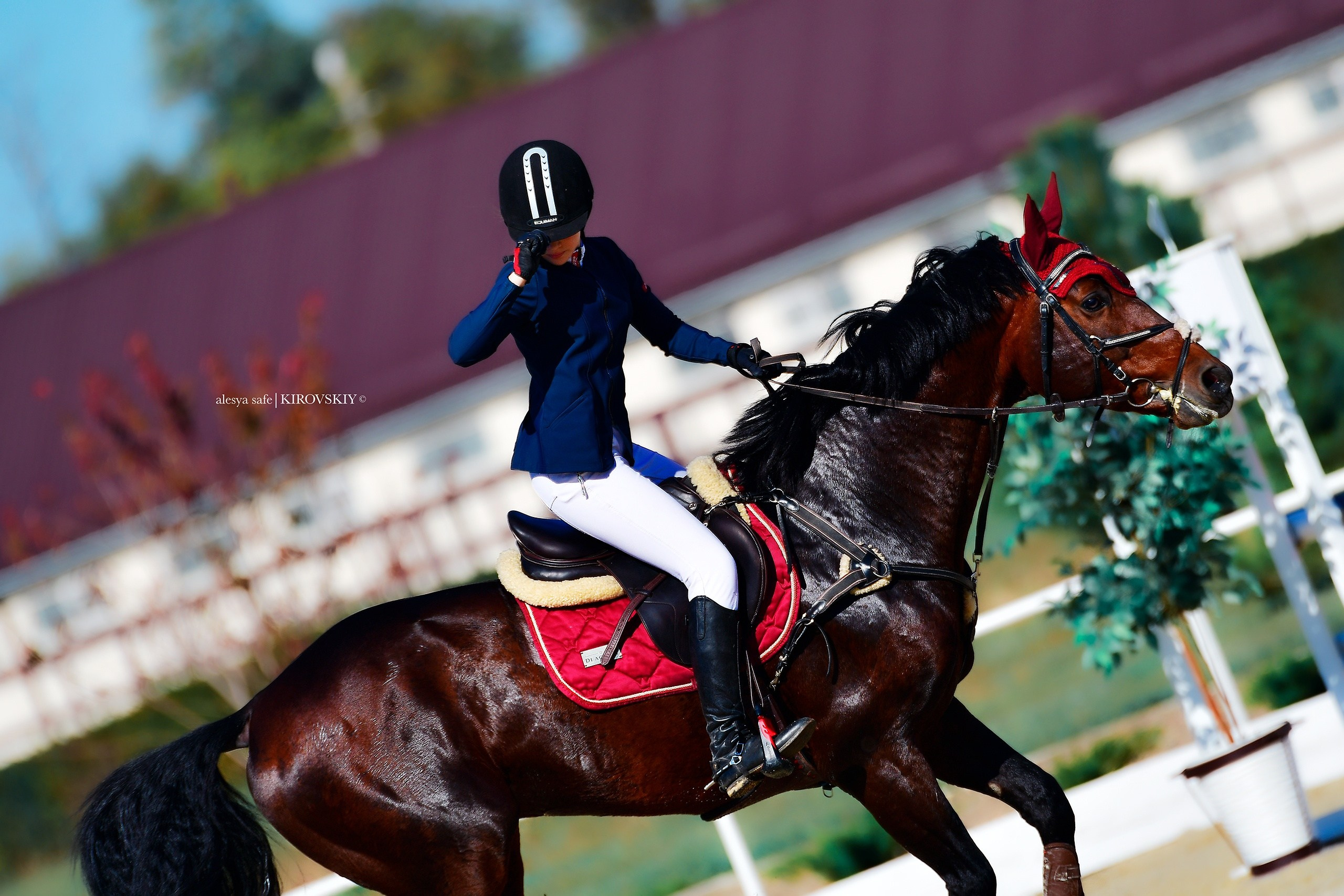Кировский конный завод. Конный фотограф Alesya Safe