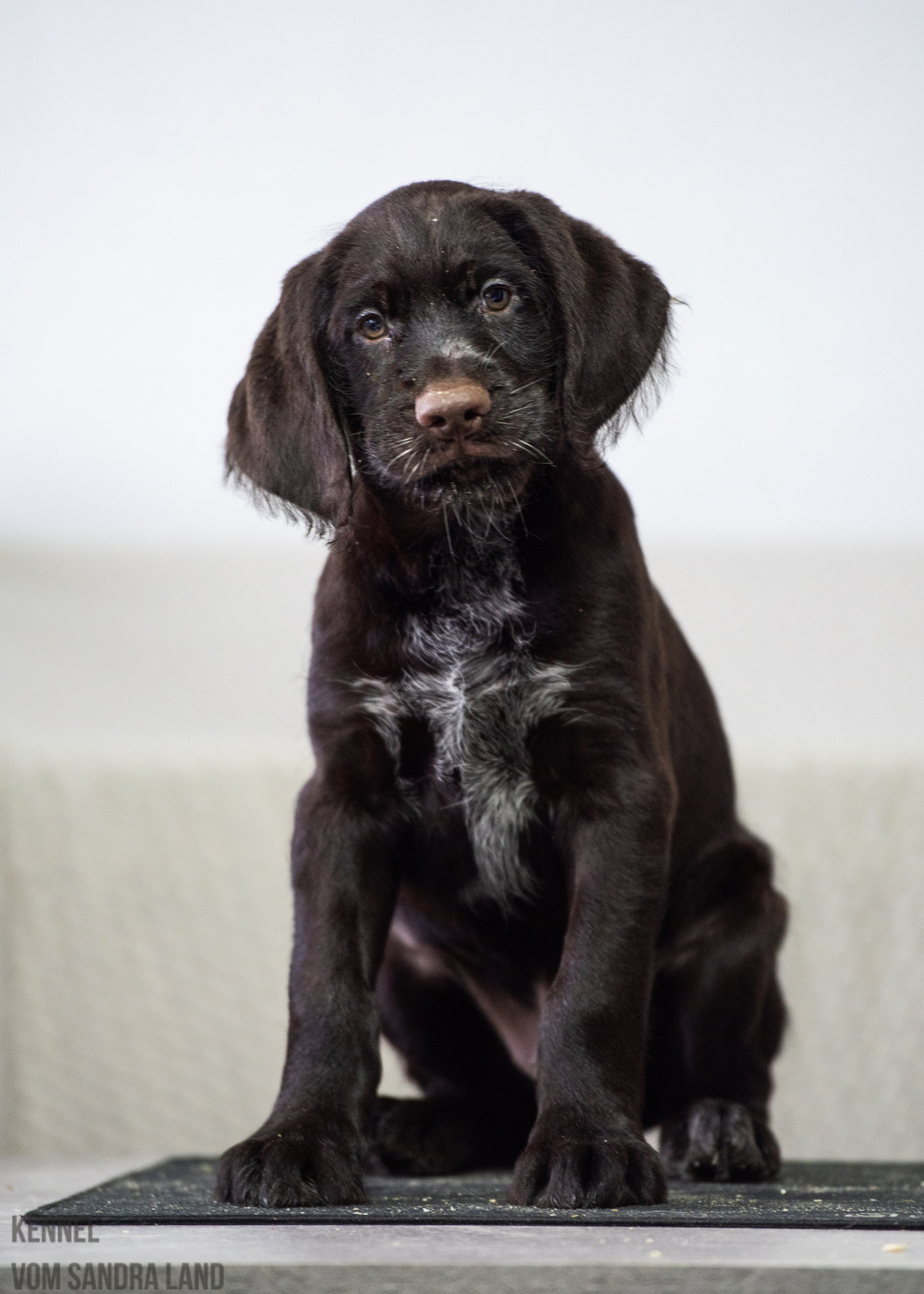 В-помет. Главная