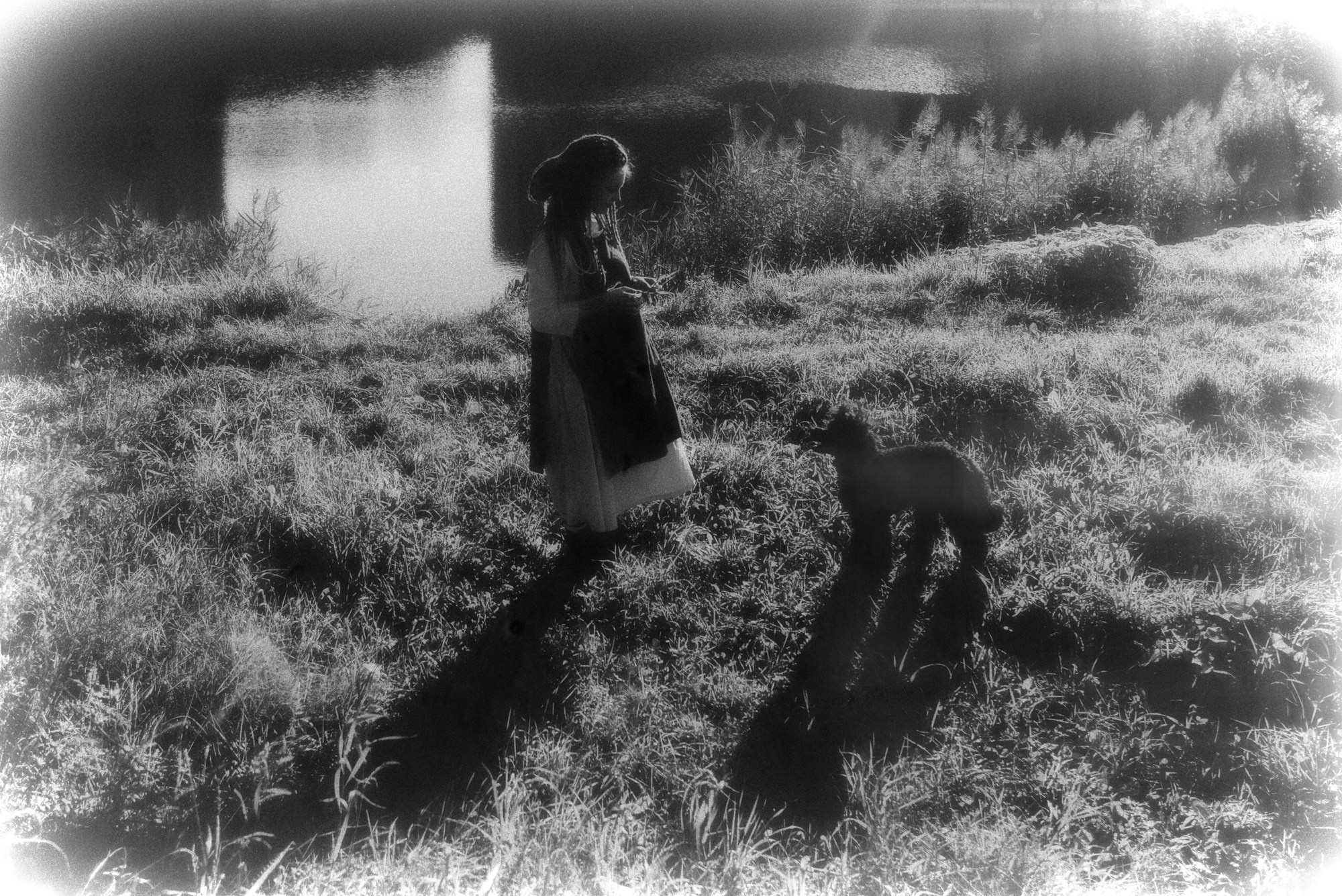 Фотосессия пары с собакой в Тюмени — Стася, Кирилл и Каренин. Портретный фотограф Тюмень Дарья Мустафина