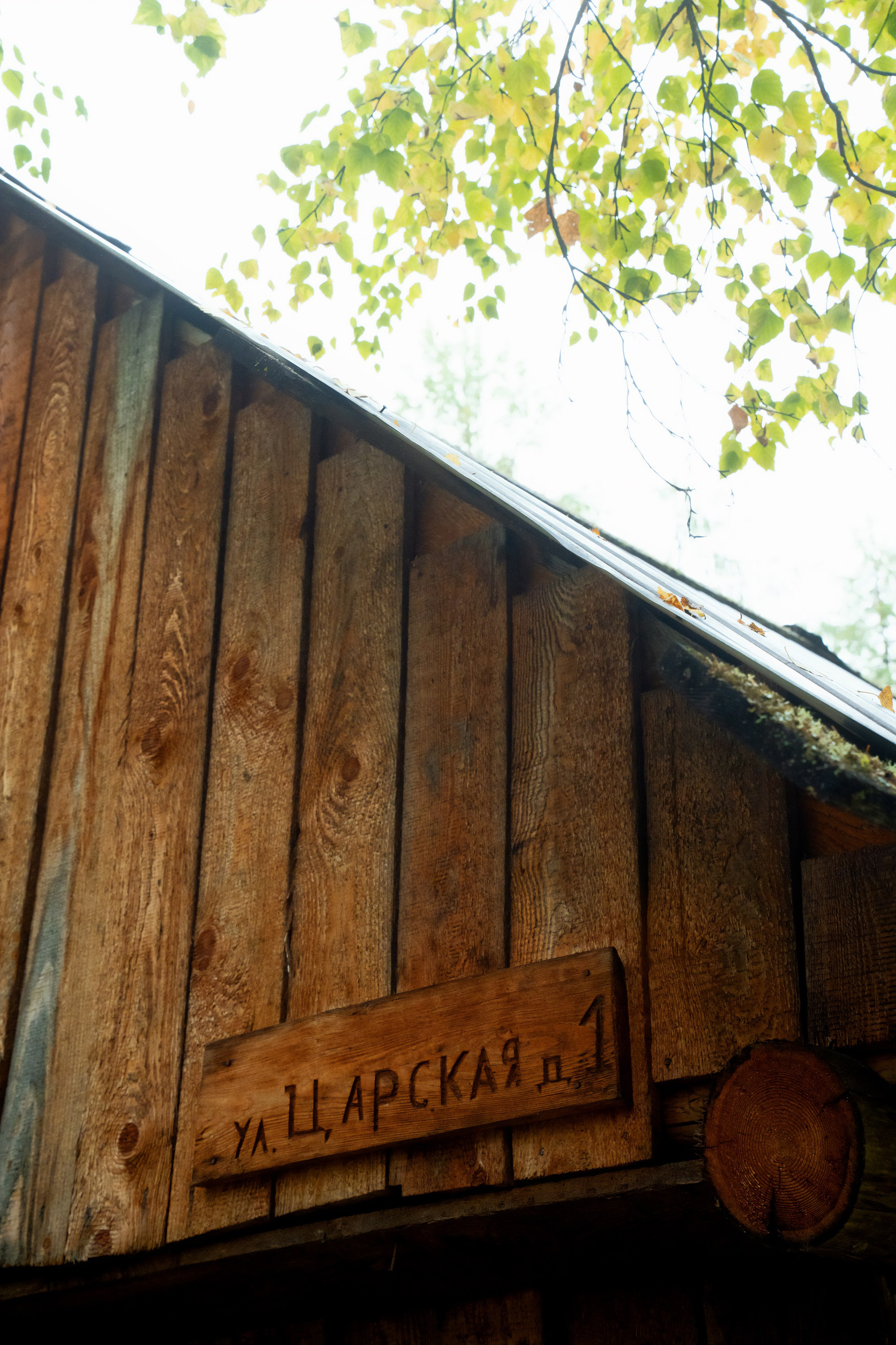 Буреинский заповедник. Фотограф в Хабаровске. Фотография за 24 часа