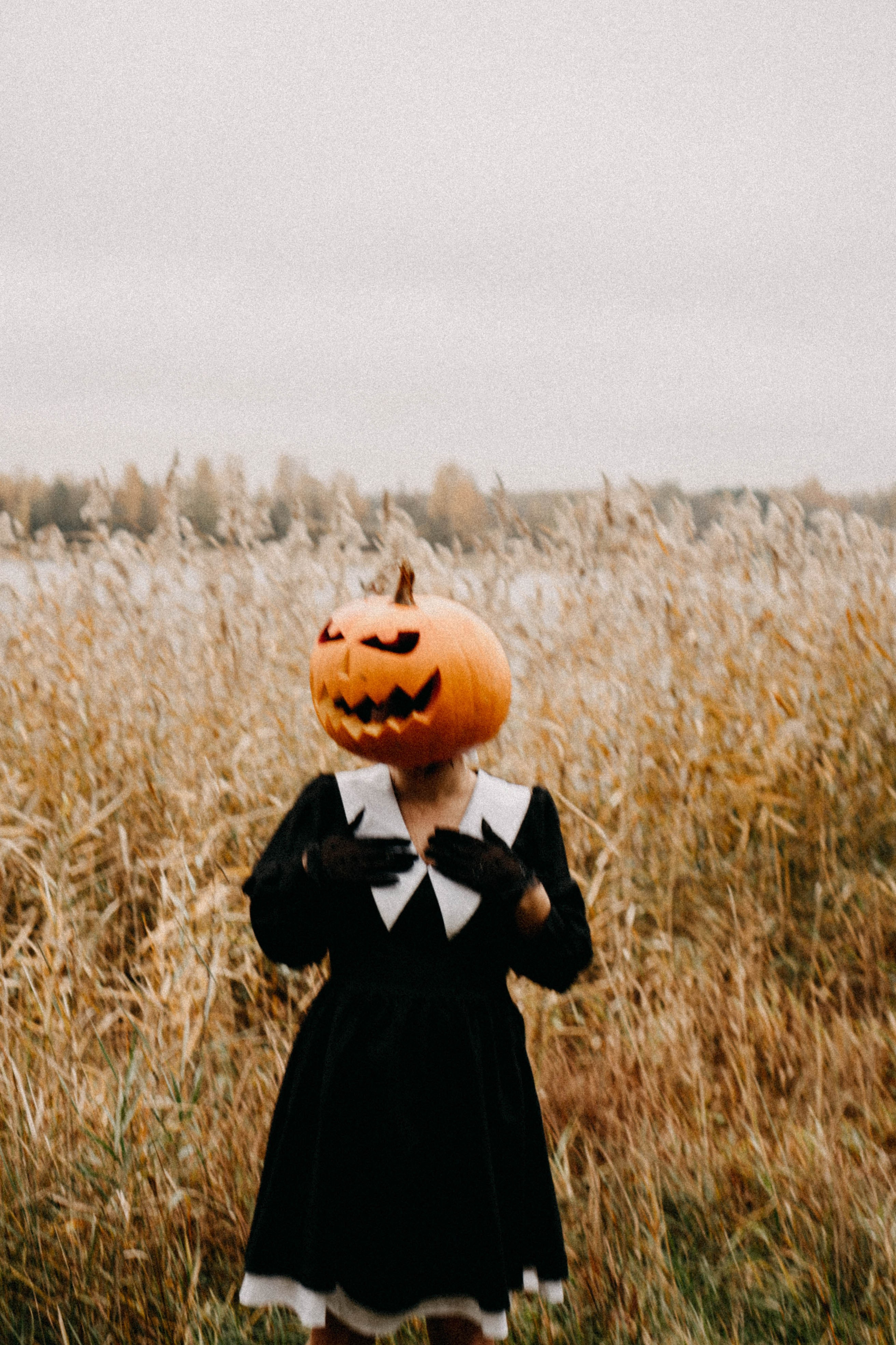 Осеняя. Профессиональный фотограф, Санкт-Петербург — Виктория Богомолова