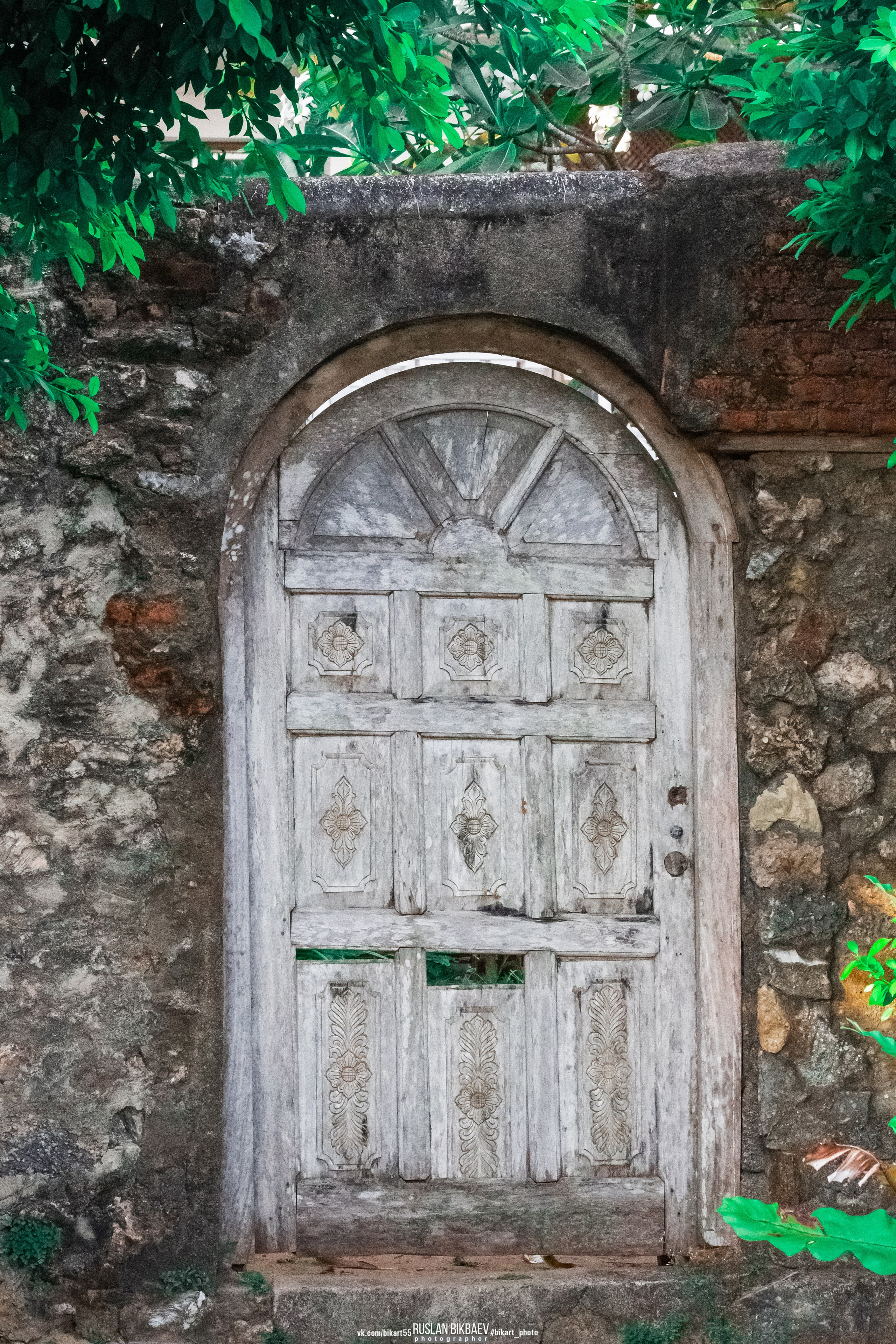 ШРИ-ЛАНКА 2025 / SRI LANKA 2025. Главная