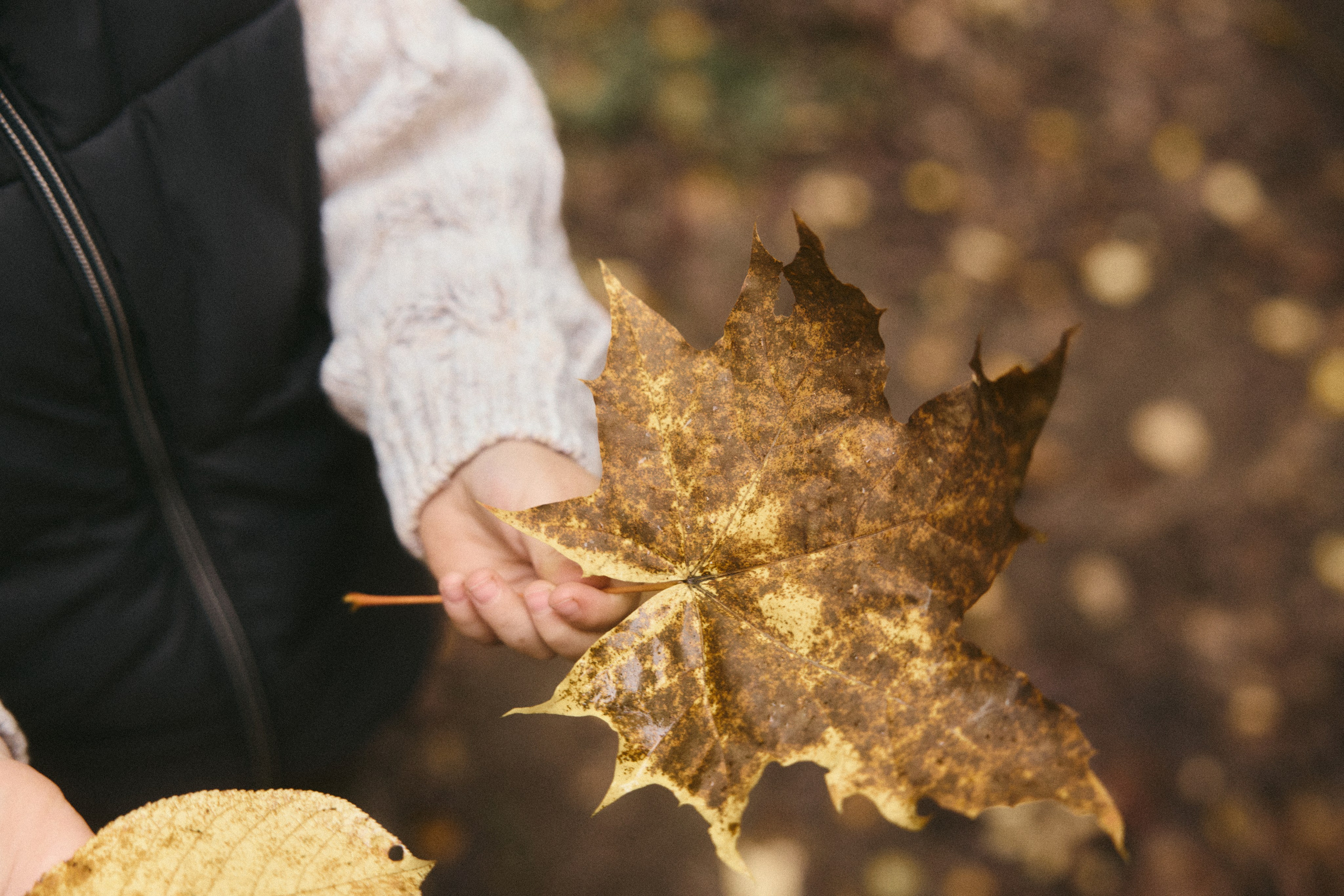 Дима + Юля + Гриша + Ариша. Семейный и детский фотограф Юлия Шох