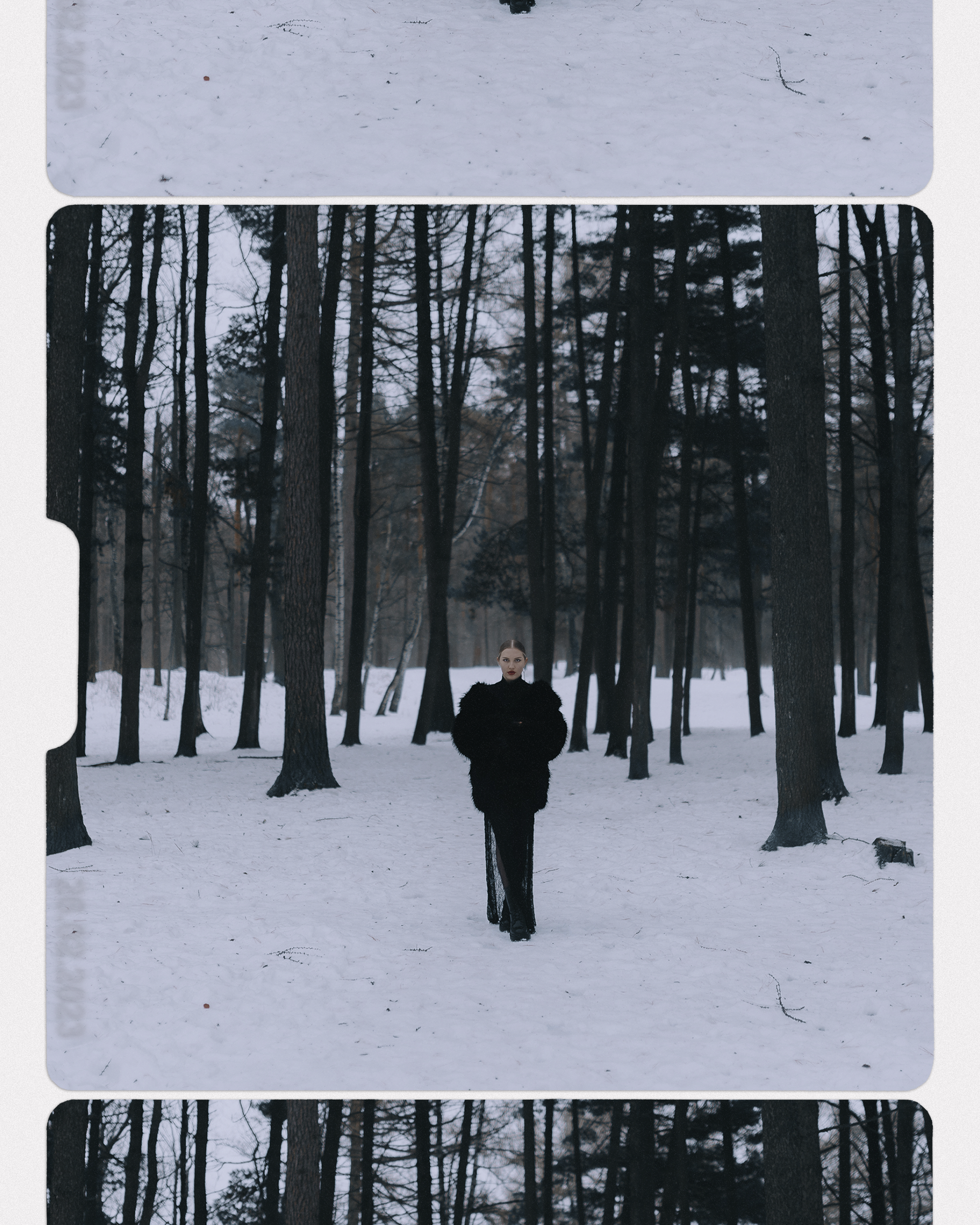 🕷️. Фотограф Вика Про