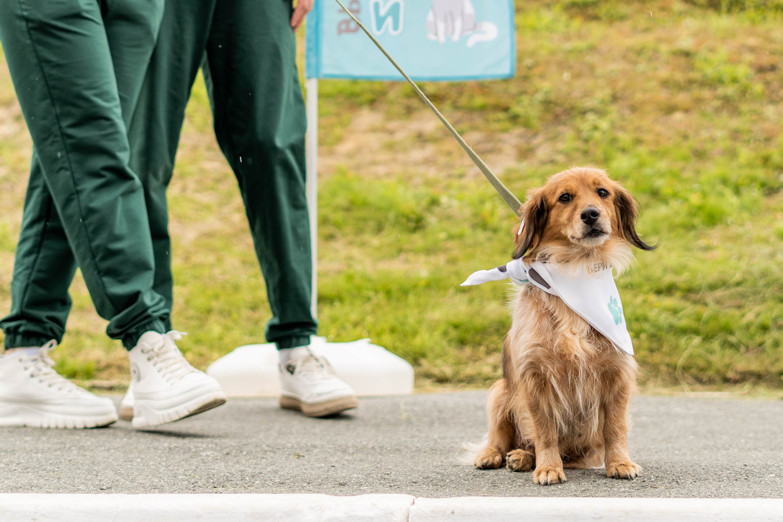 Проект «Бери домой». Фотограф Екатерина Зорина